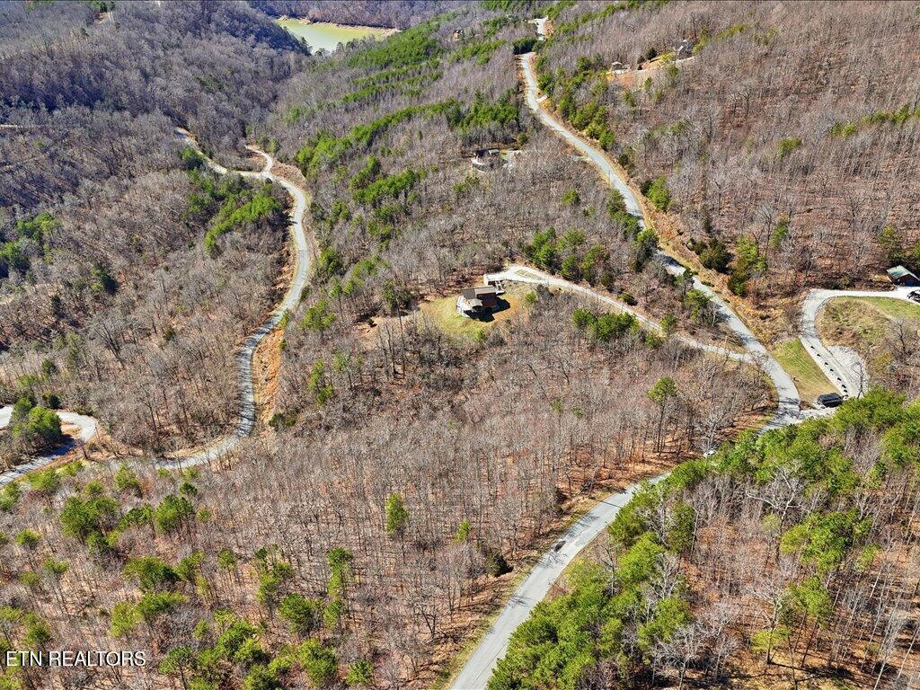Norris Lake Real Estate - Image# 33
