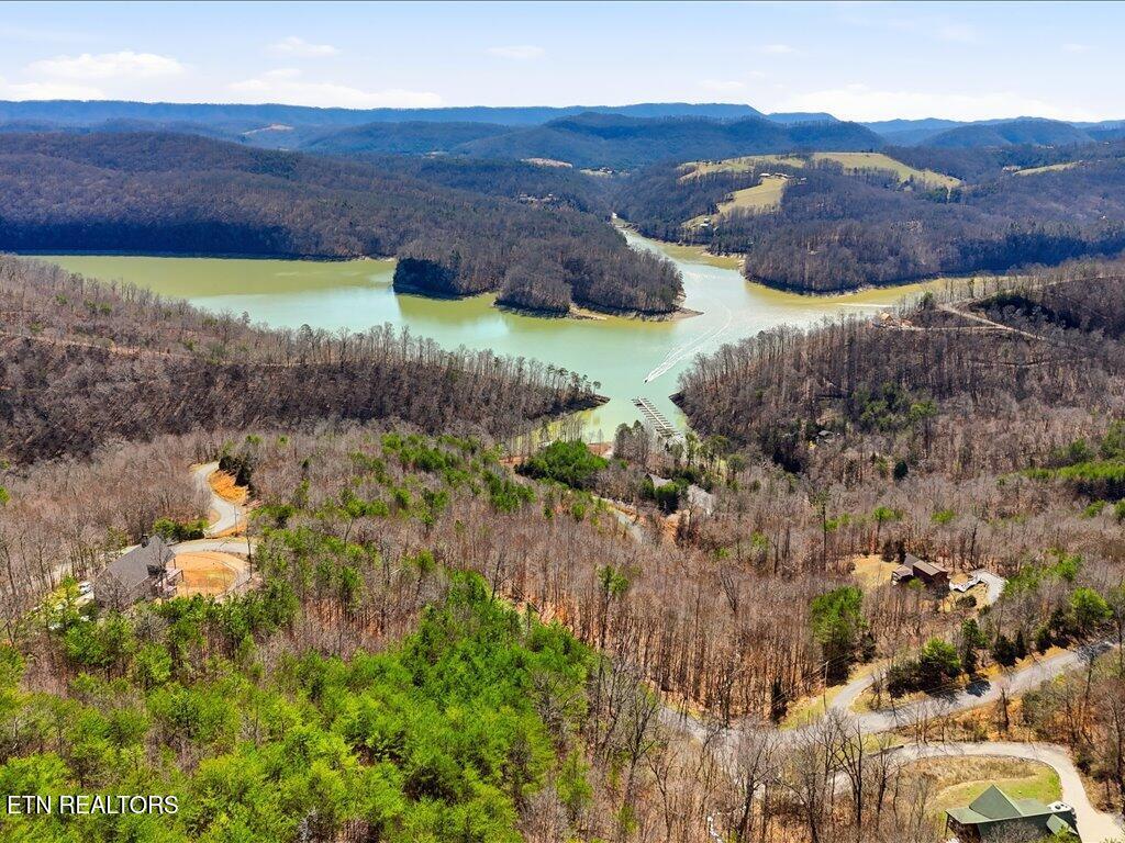 Norris Lake Real Estate - Image# 36