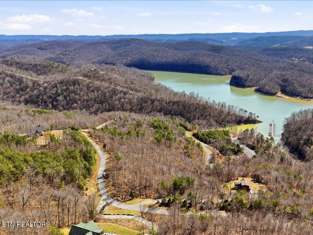 Norris Lake Real Estate - Image# 37