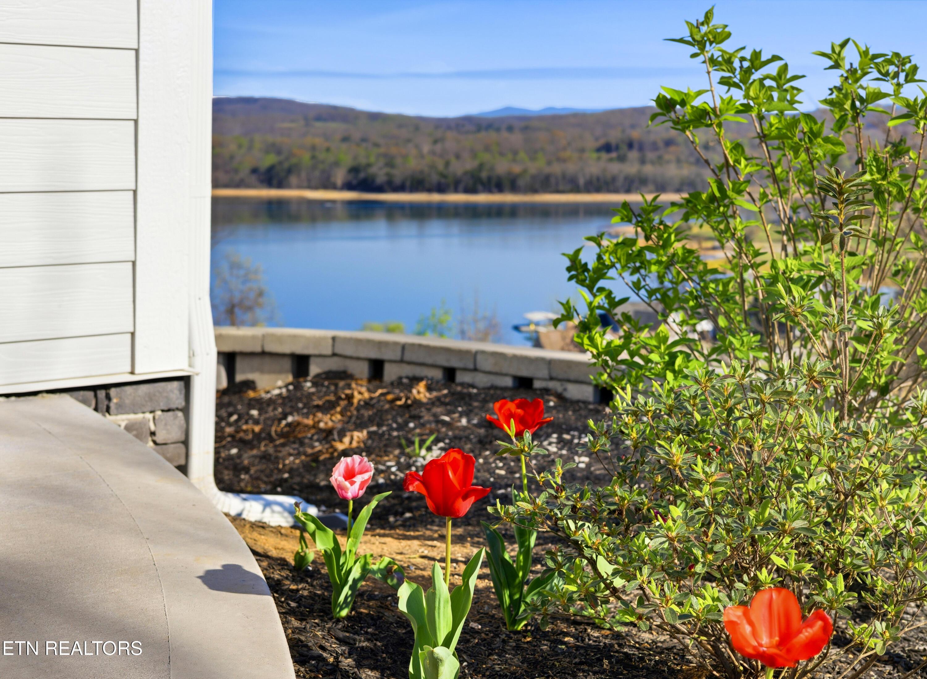3385 Russell Brothers Rd, Sharps Chapel, TN - Norris Lake Real Estate - Image# 12