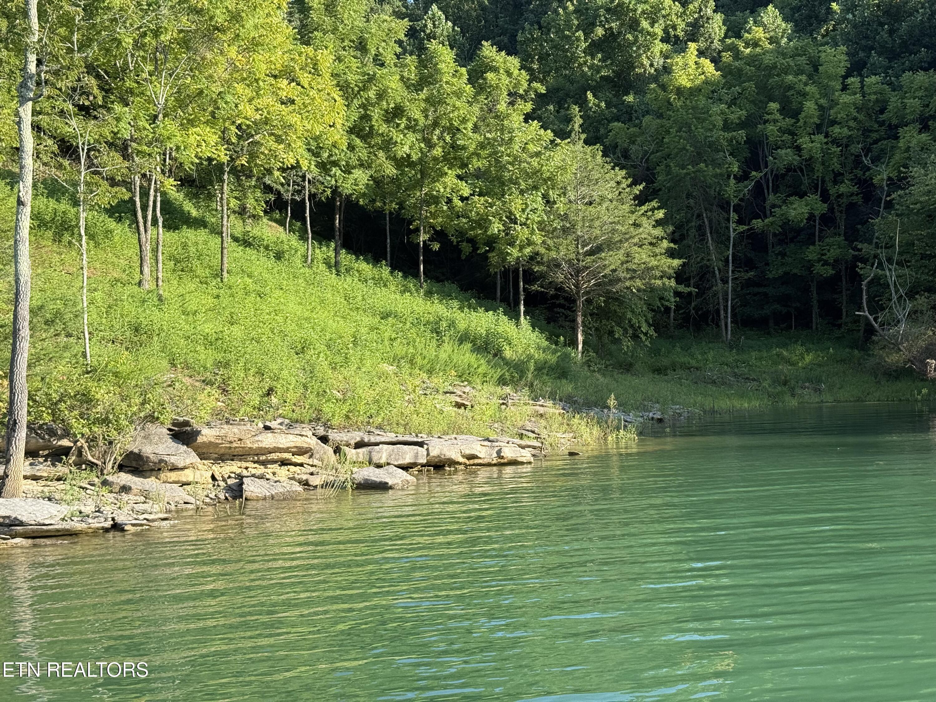 3385 Russell Brothers Rd, Sharps Chapel, TN - Norris Lake Real Estate - Image# 8