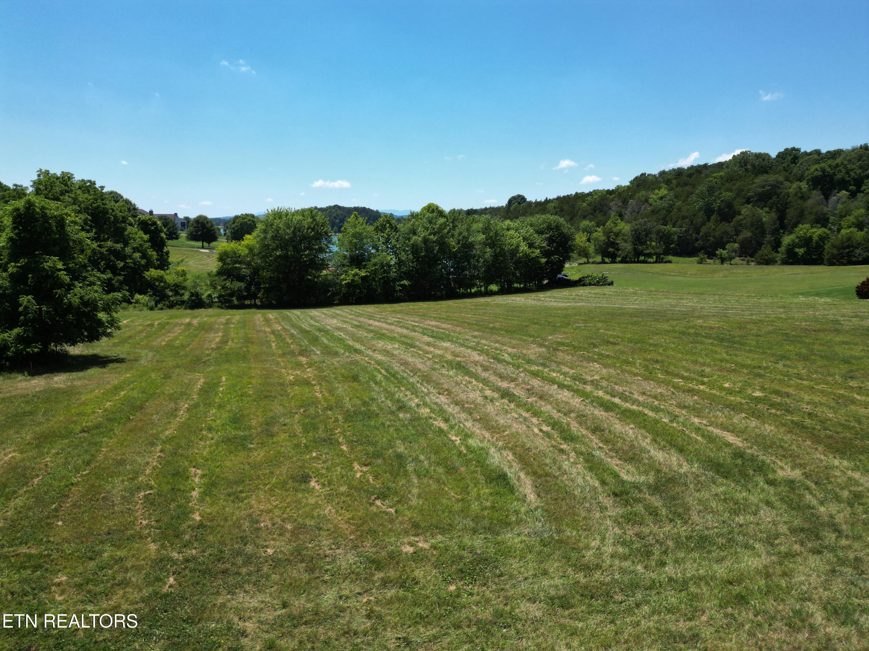 Norris Lake Real Estate - Image# 3