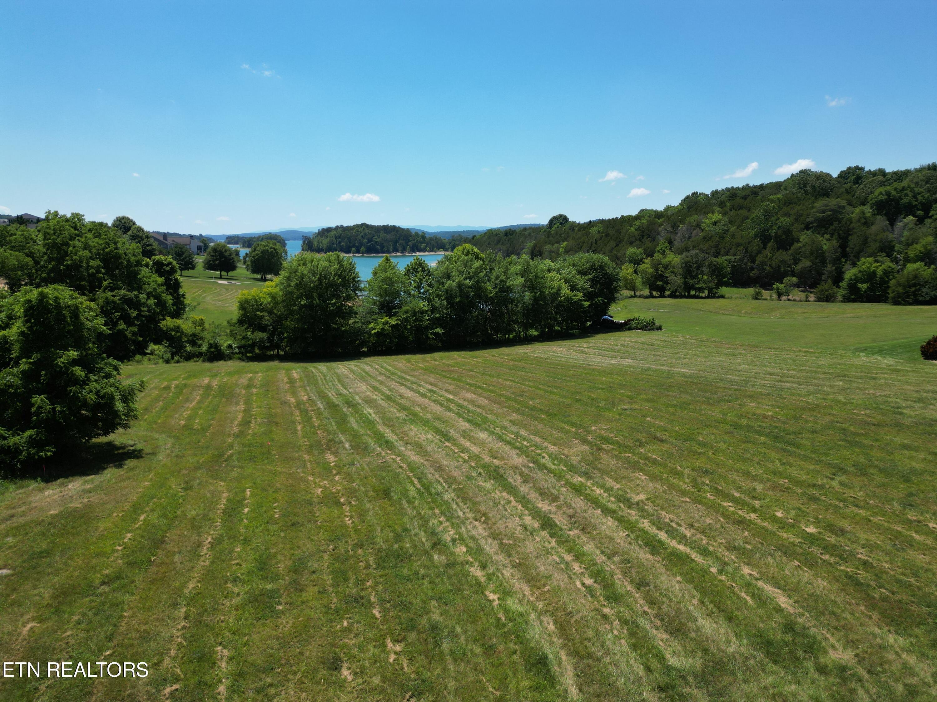 Norris Lake Real Estate - Image# 4