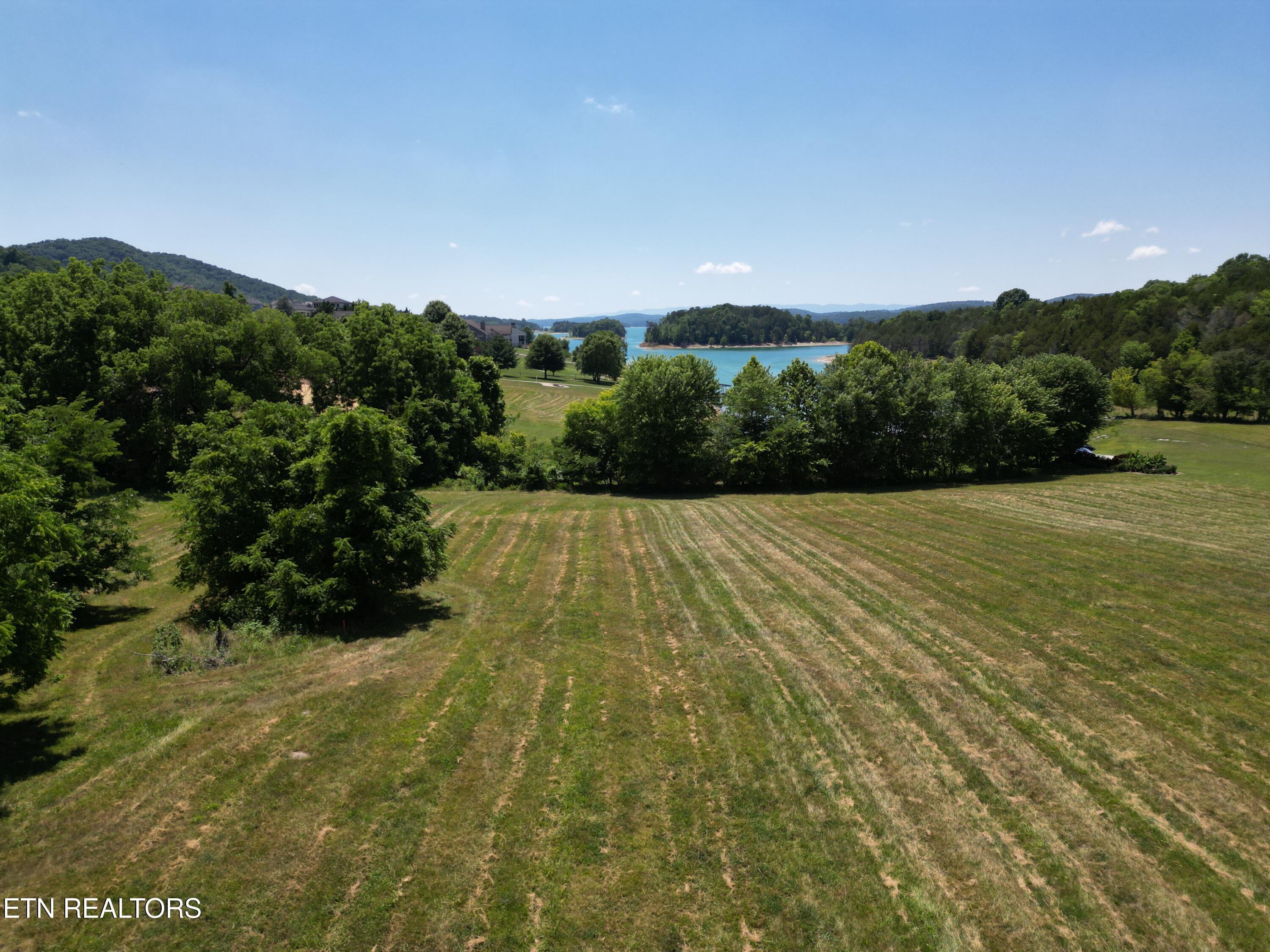 Norris Lake Real Estate - Image# 5