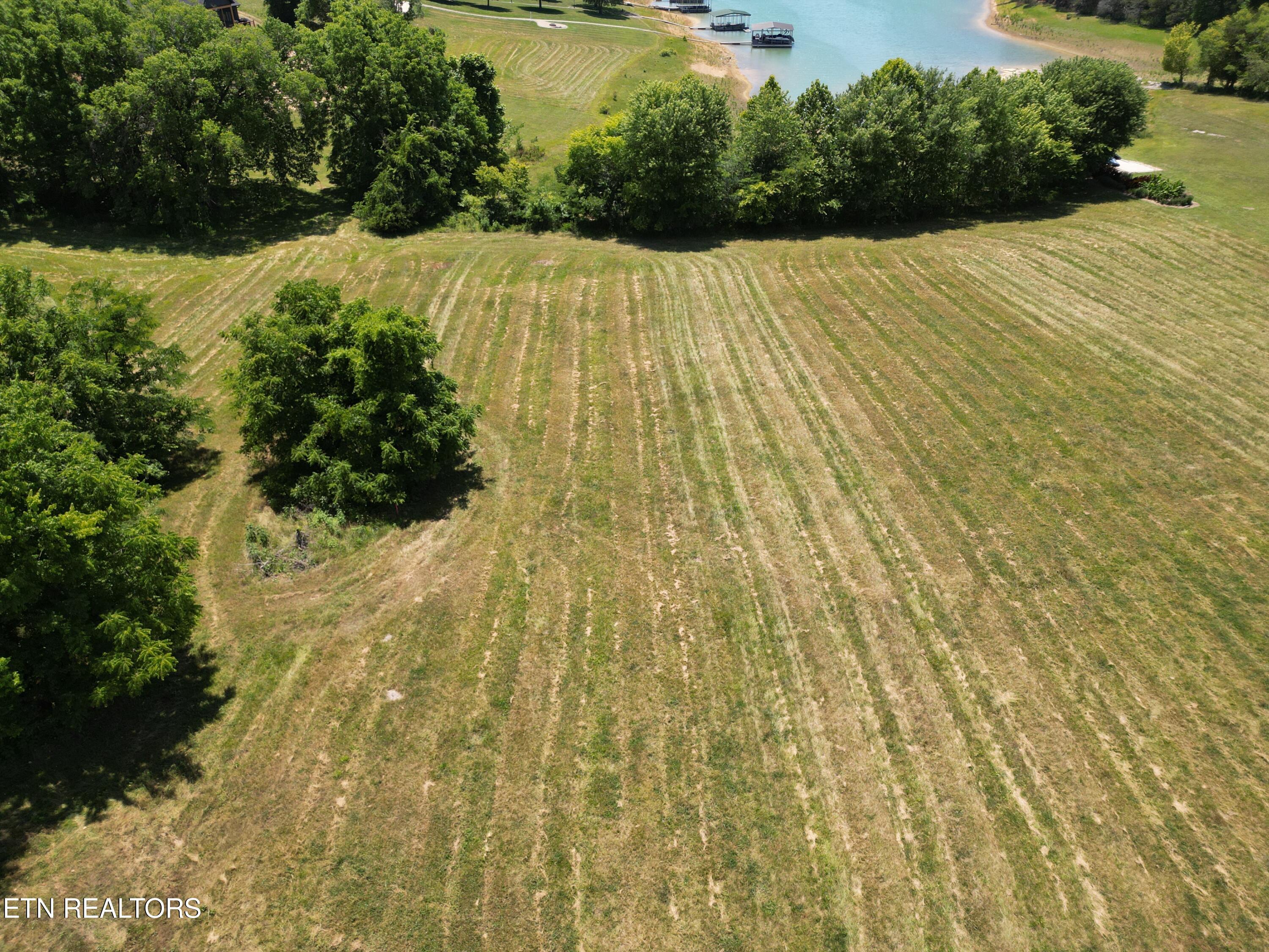 Norris Lake Real Estate - Image# 6