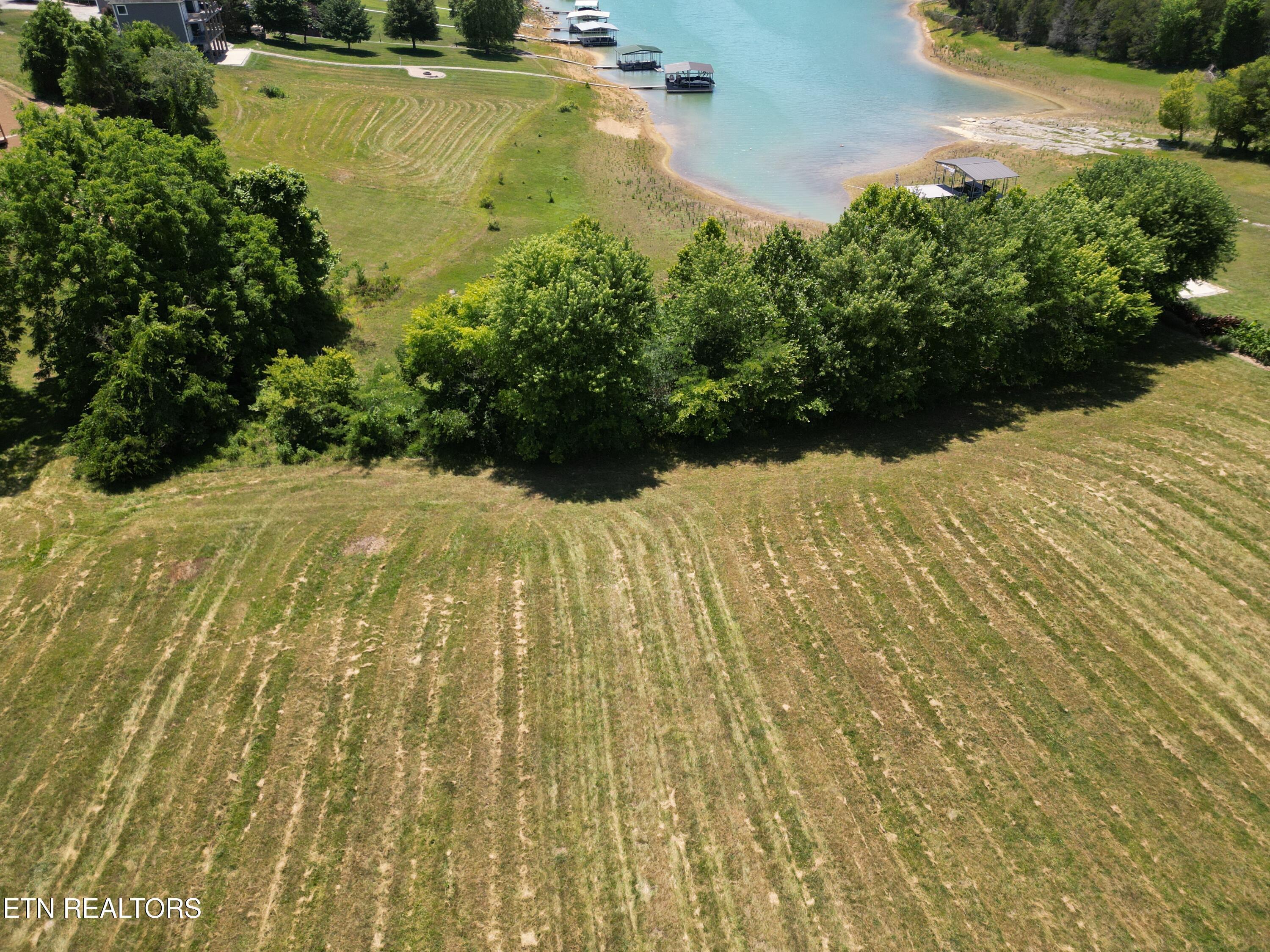 Norris Lake Real Estate - Image# 7