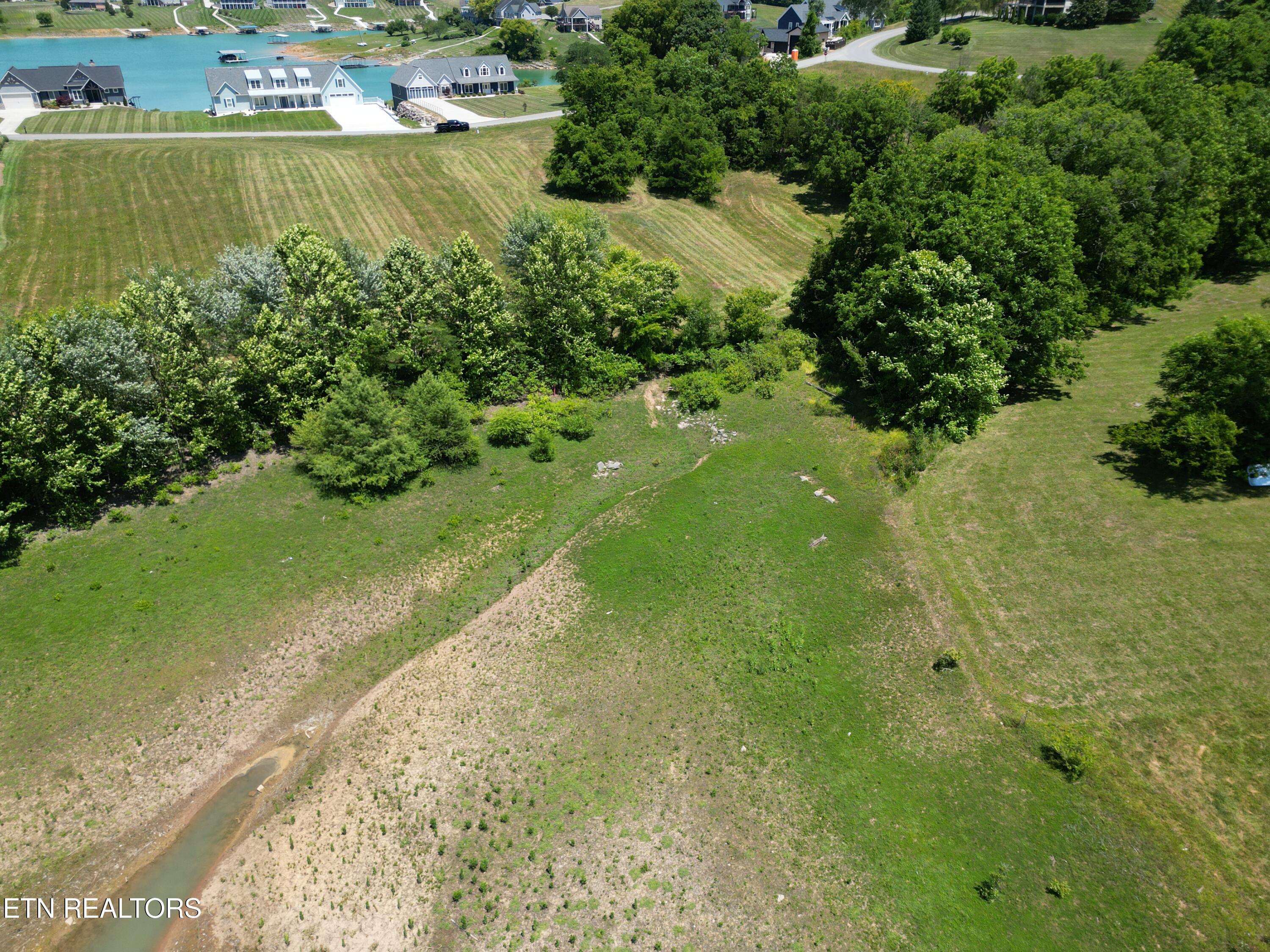 Norris Lake Real Estate - Image# 11