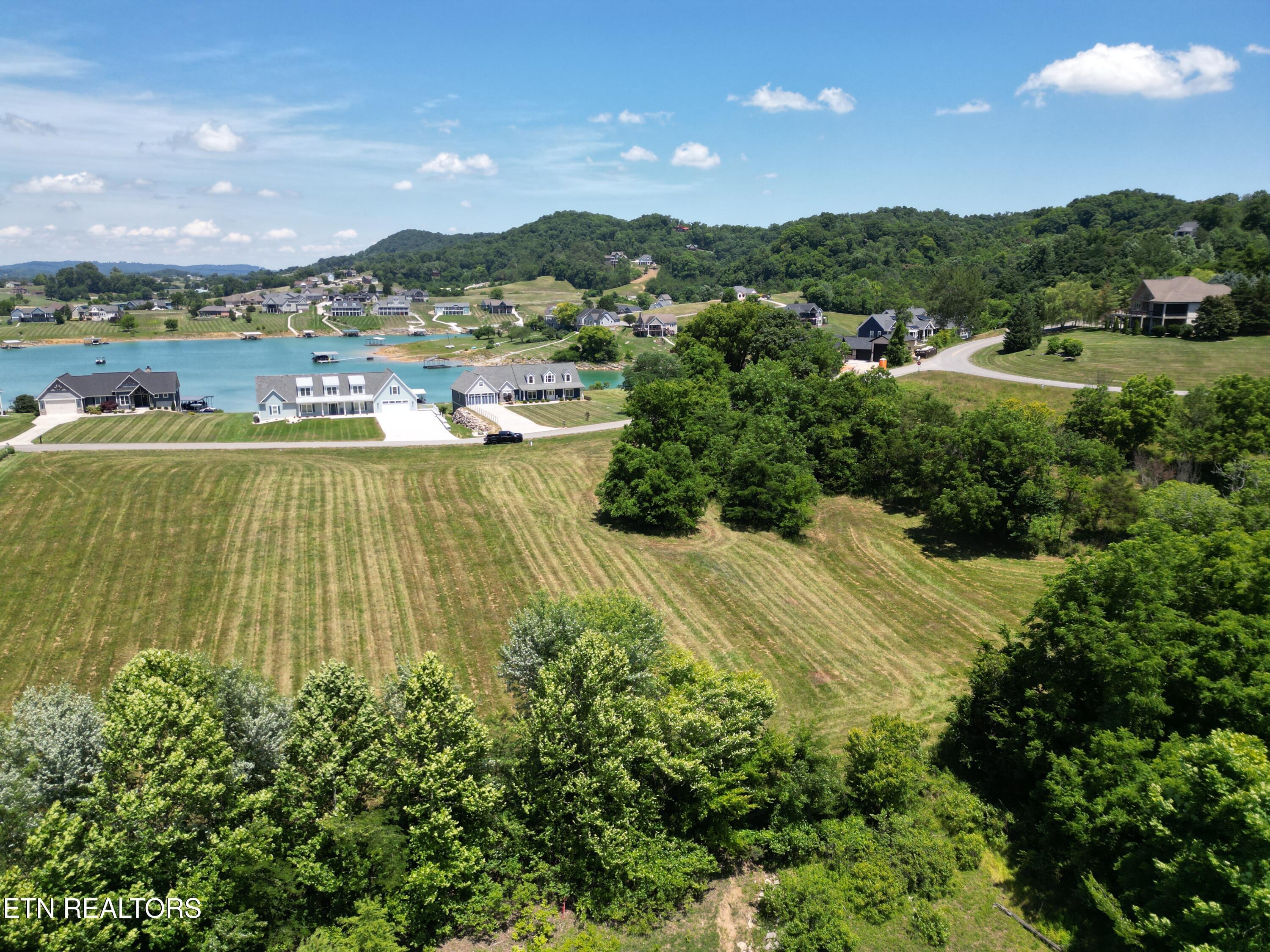 Norris Lake Real Estate - Image# 2