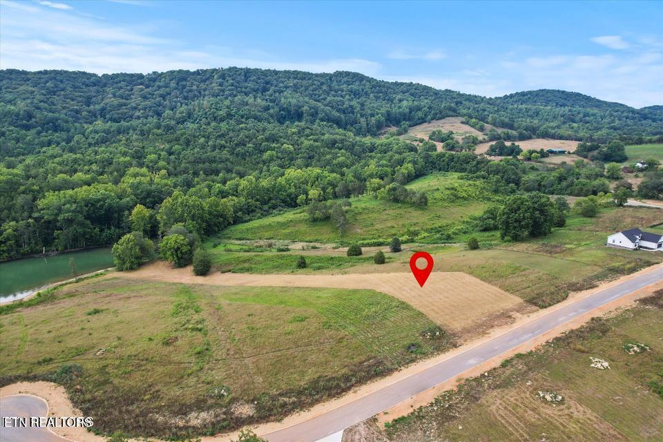 Norris Lake Real Estate - Image# 8