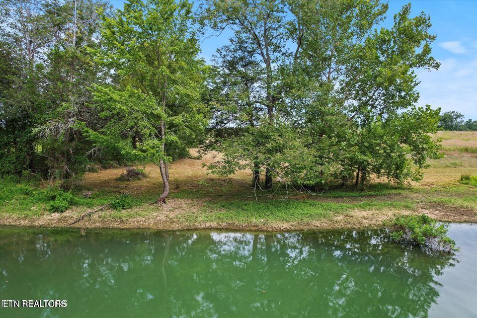 Norris Lake Real Estate - Image# 11