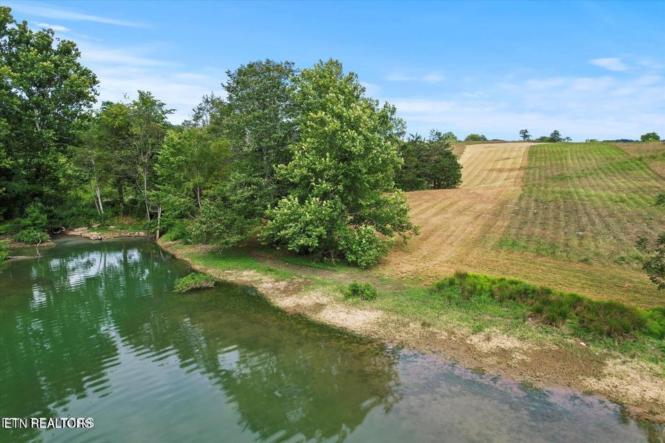 Norris Lake Real Estate - Image# 12