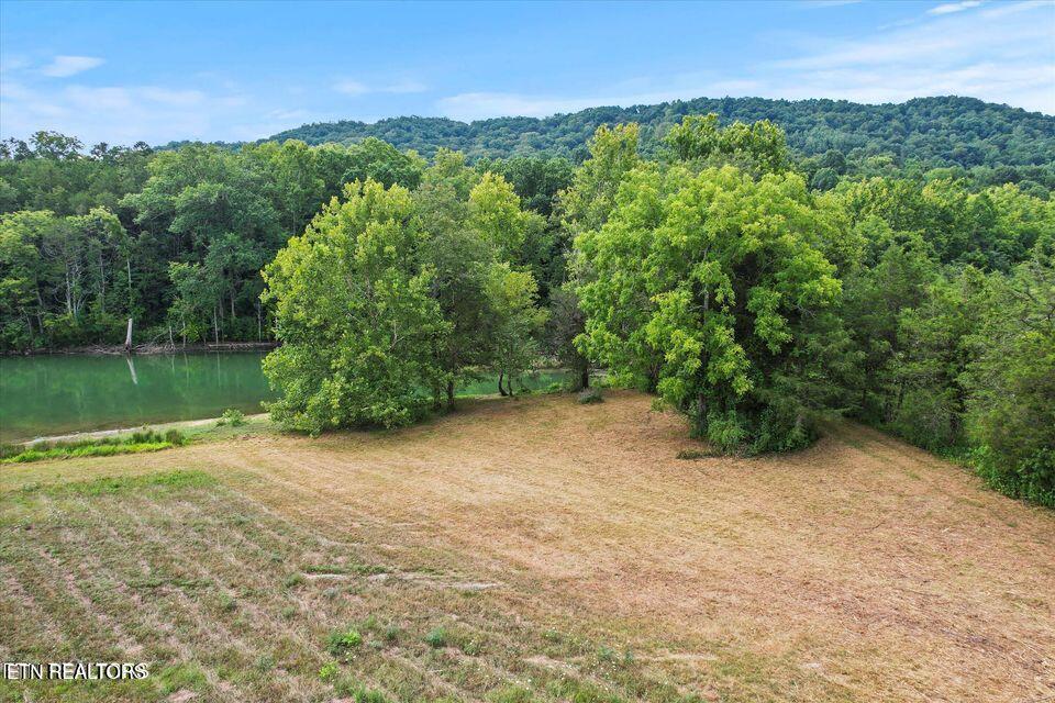 Norris Lake Real Estate - Image# 13