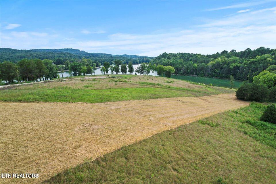 Norris Lake Real Estate - Image# 14