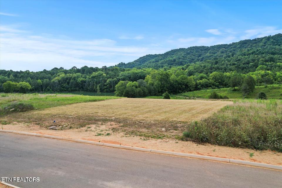 Norris Lake Real Estate - Image# 17