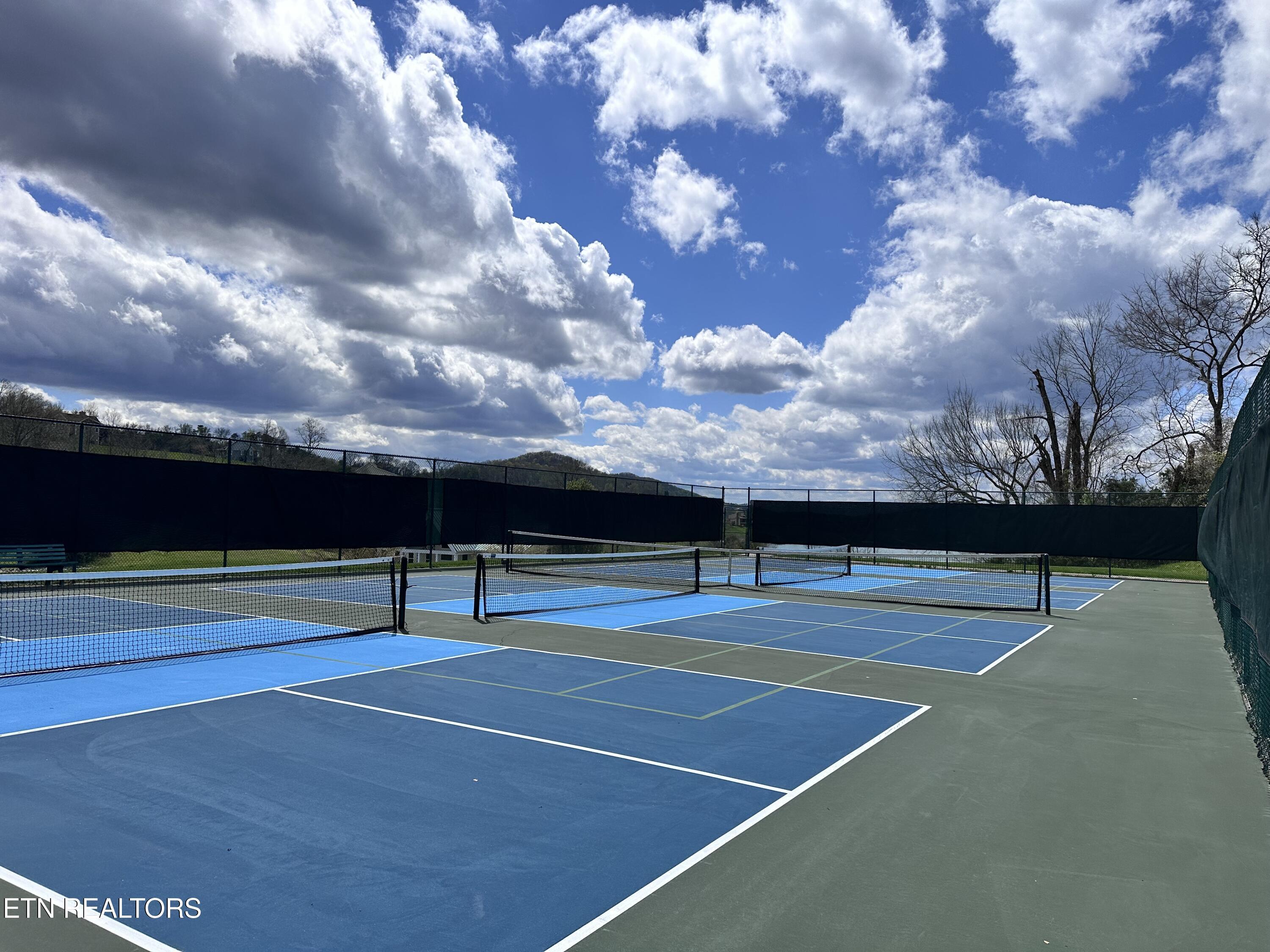 Norris Lake Real Estate - Image# 23