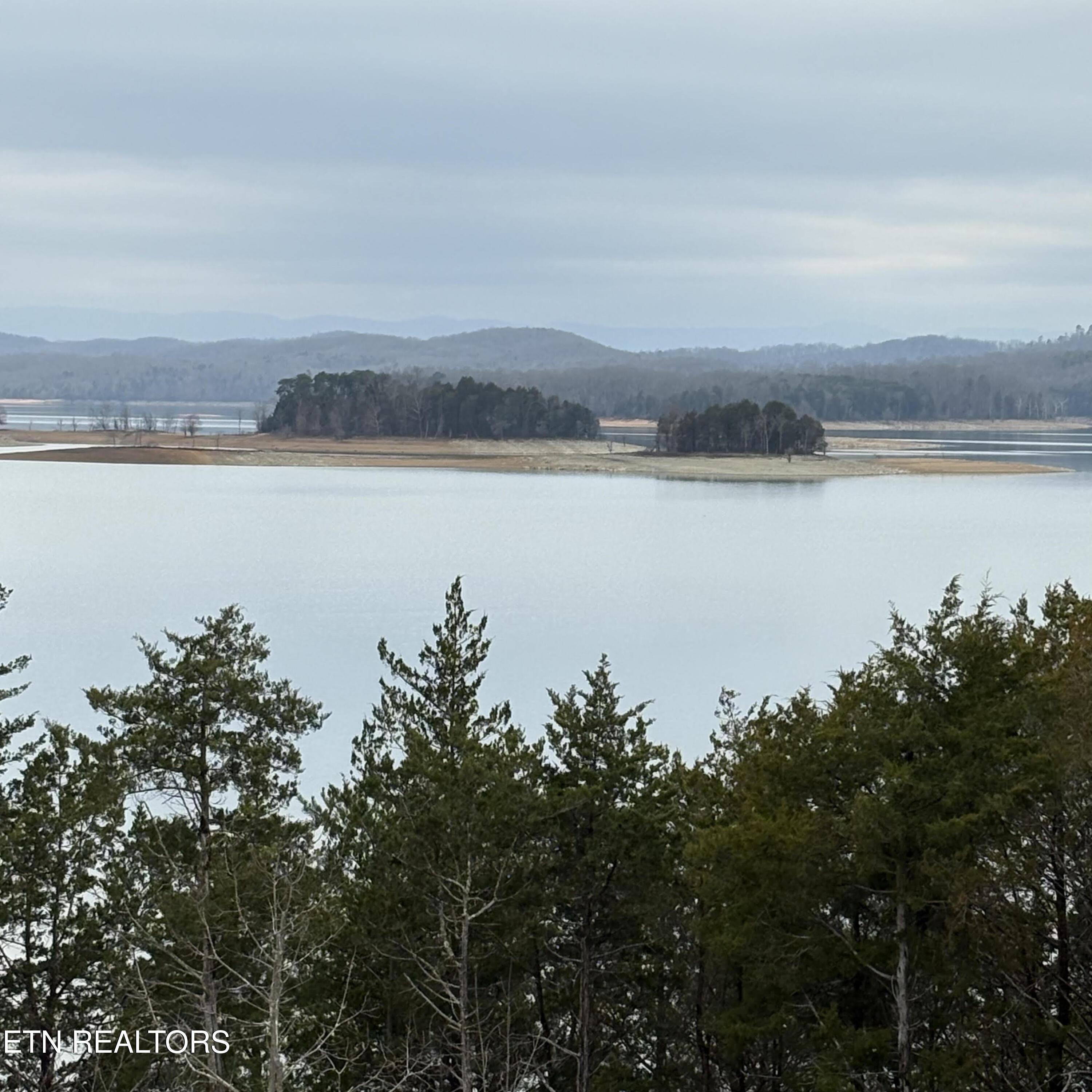 Norris Lake Real Estate - Image# 10