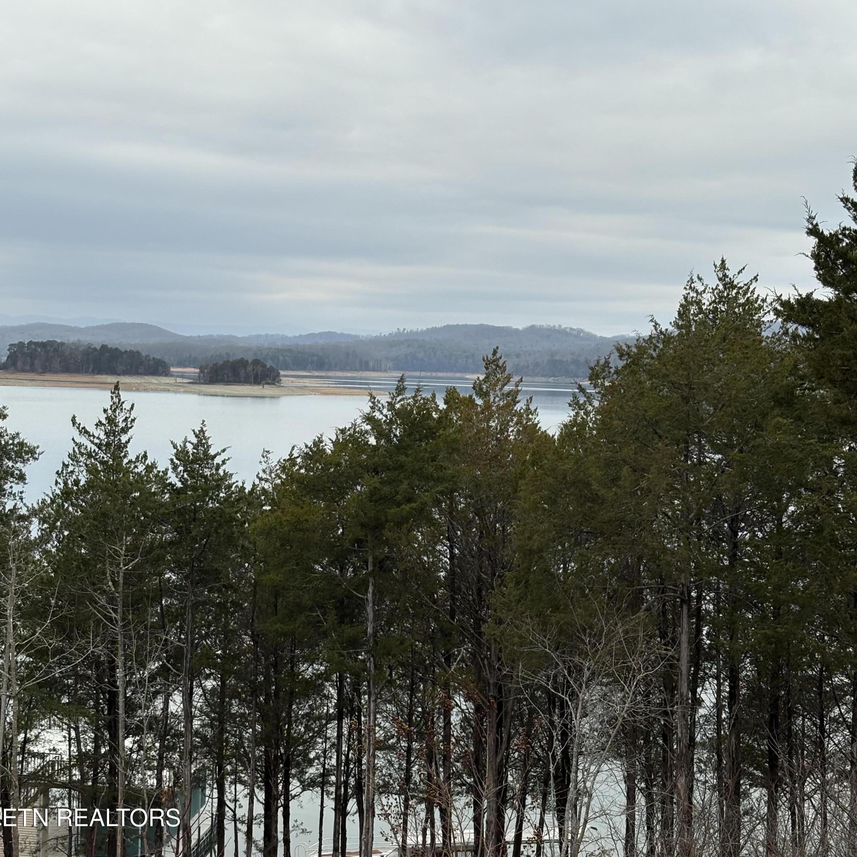 Norris Lake Real Estate - Image# 11