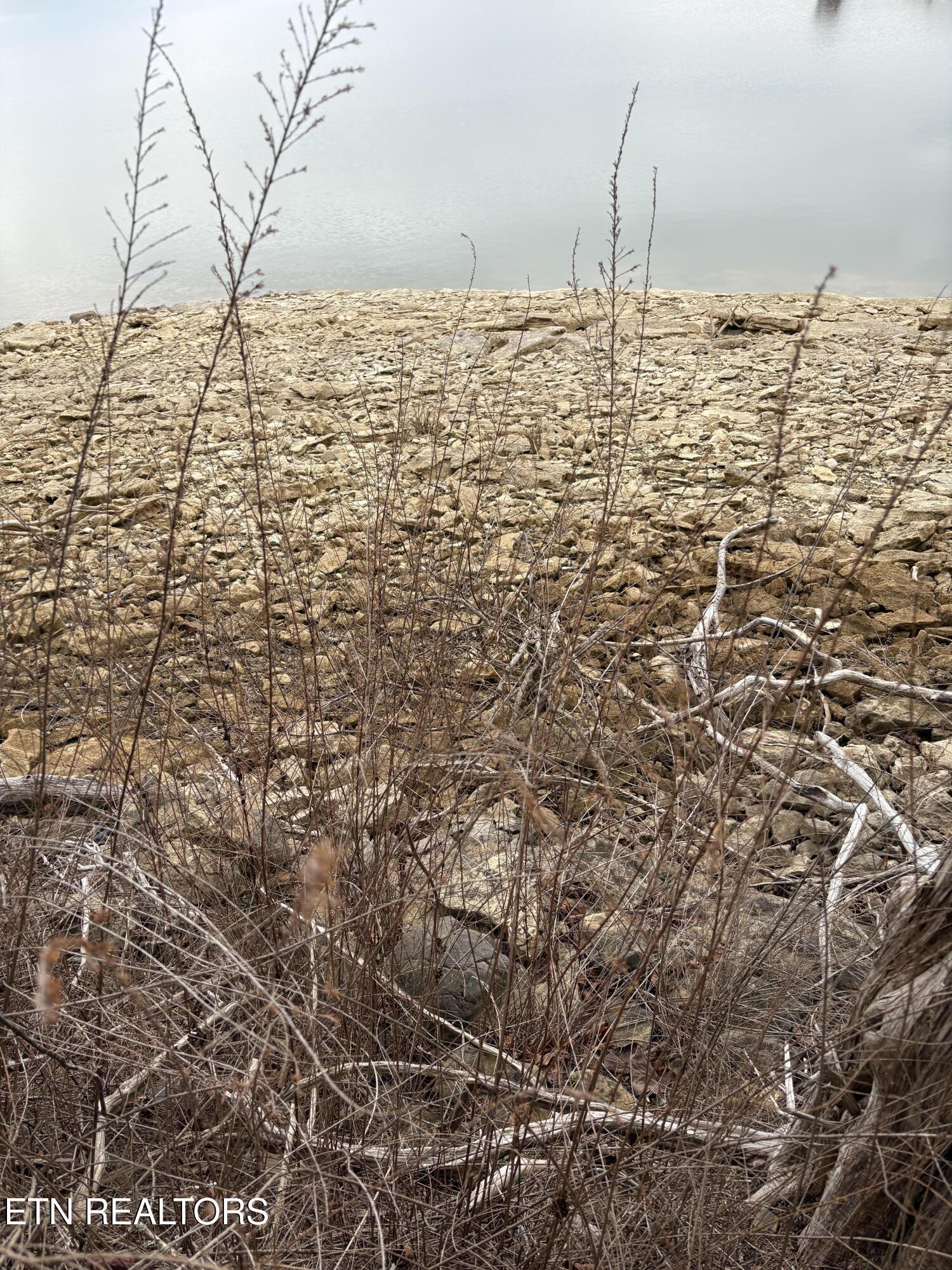 Norris Lake Real Estate - Image# 16