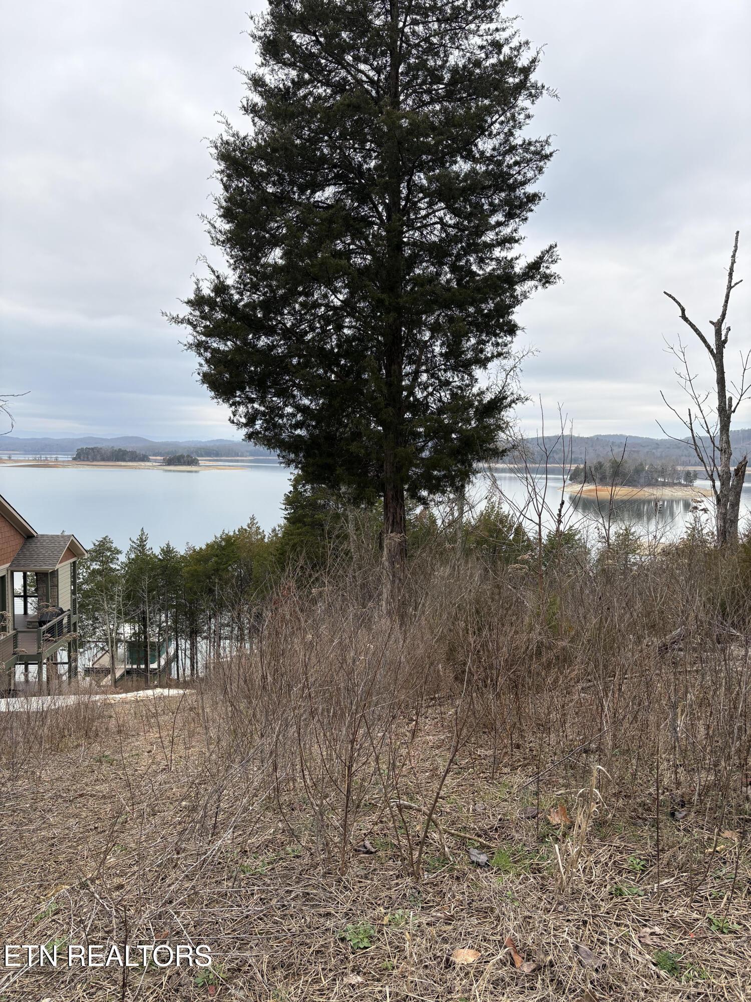 Norris Lake Real Estate - Image# 12