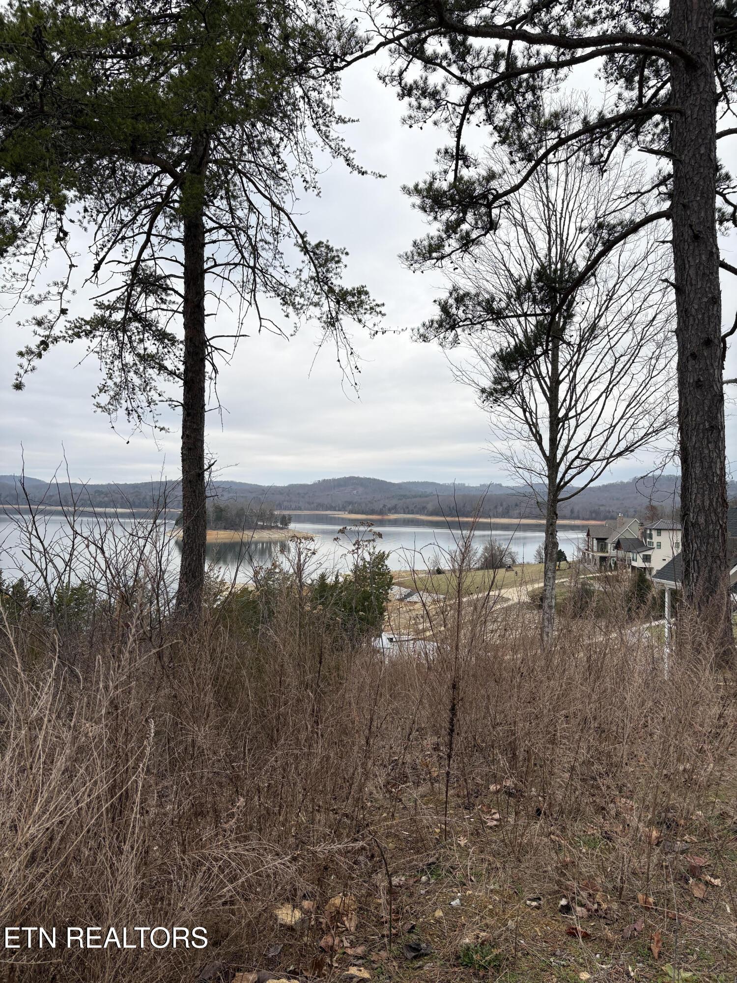 Norris Lake Real Estate - Image# 13