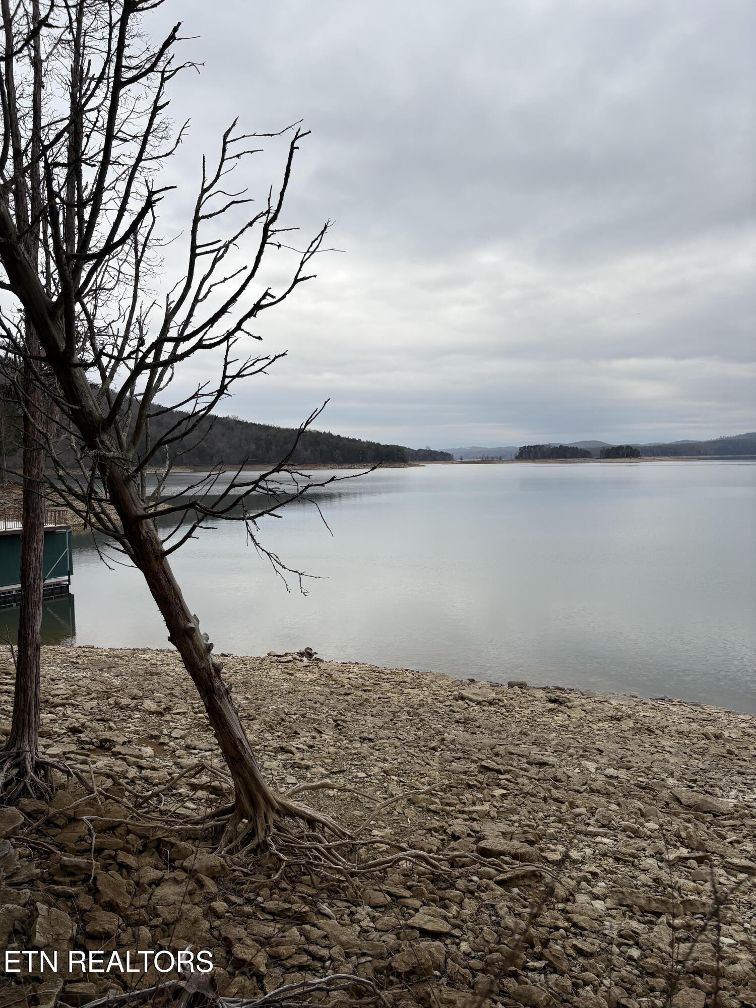 Norris Lake Real Estate - Image# 17