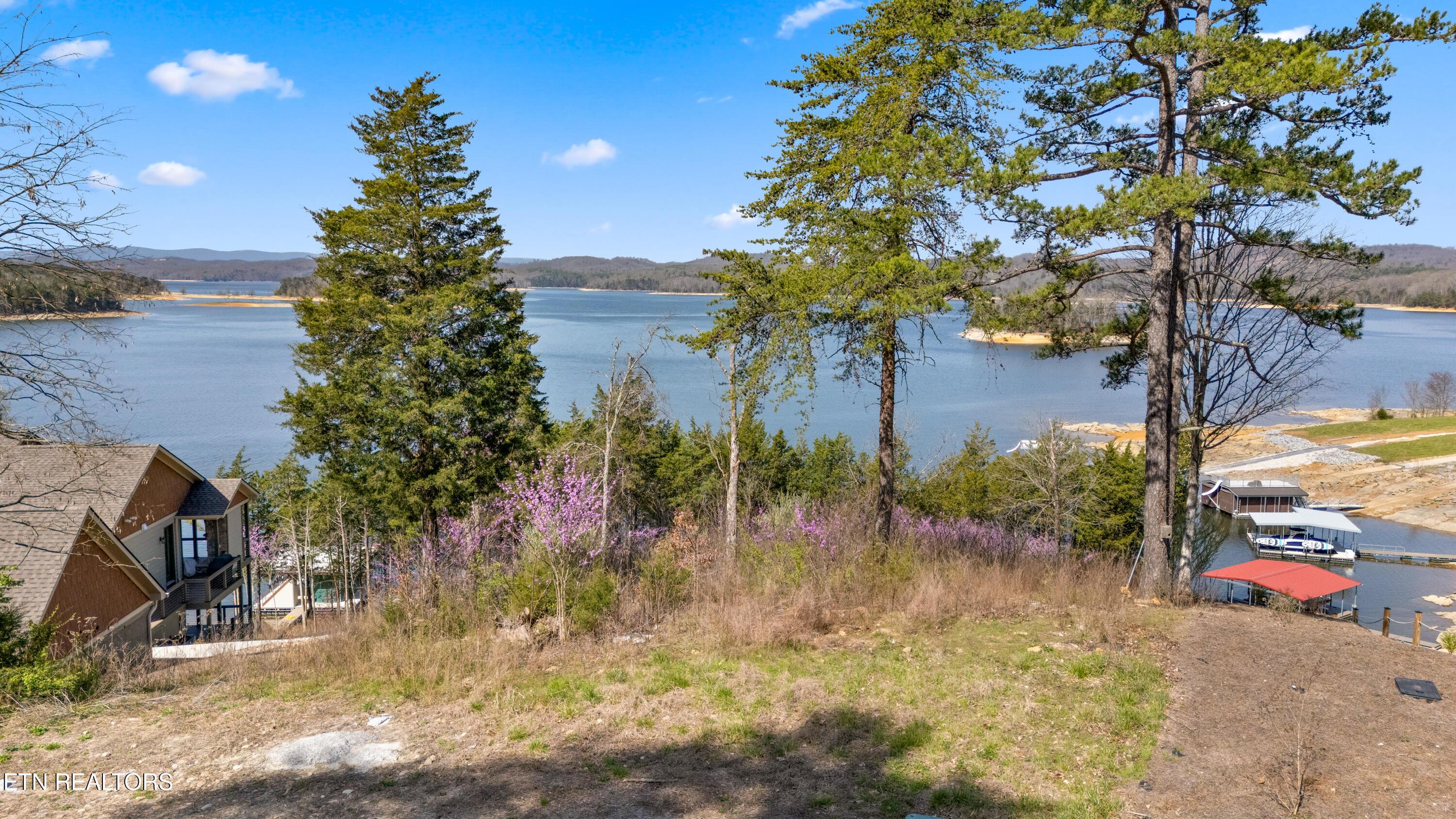 Norris Lake Real Estate - Image# 3