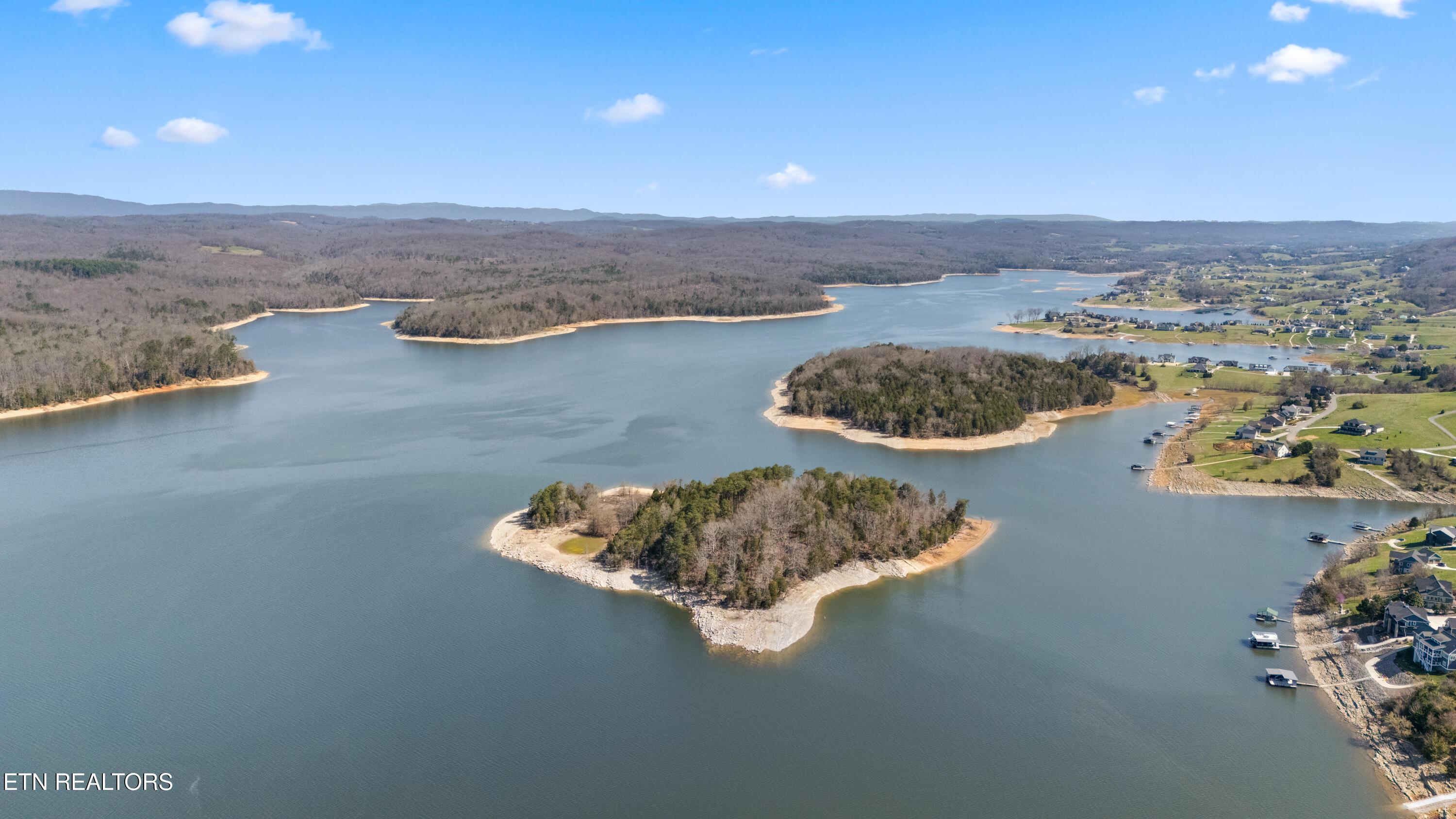 Norris Lake Real Estate - Image# 8