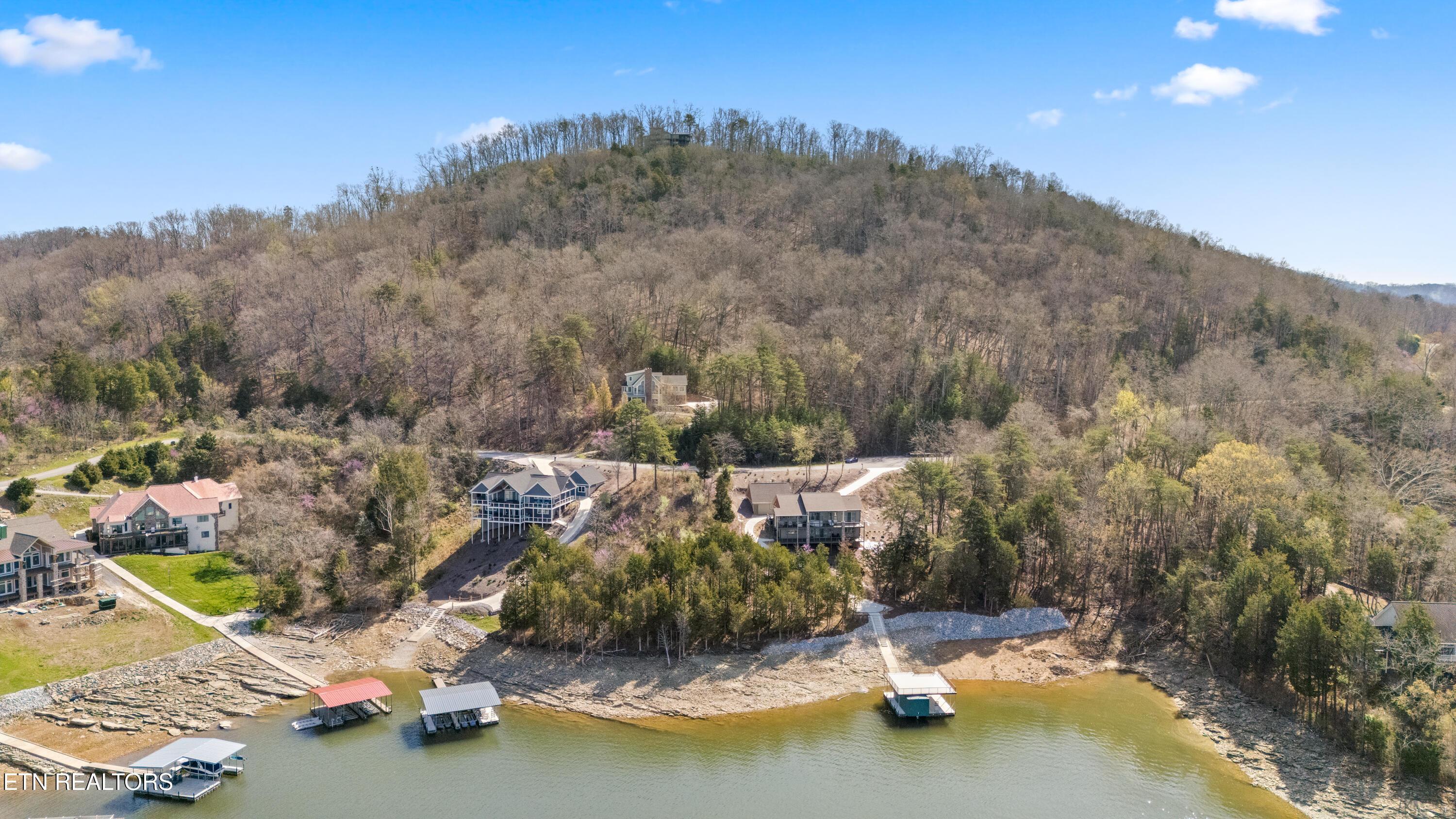 Norris Lake Real Estate - Image# 4