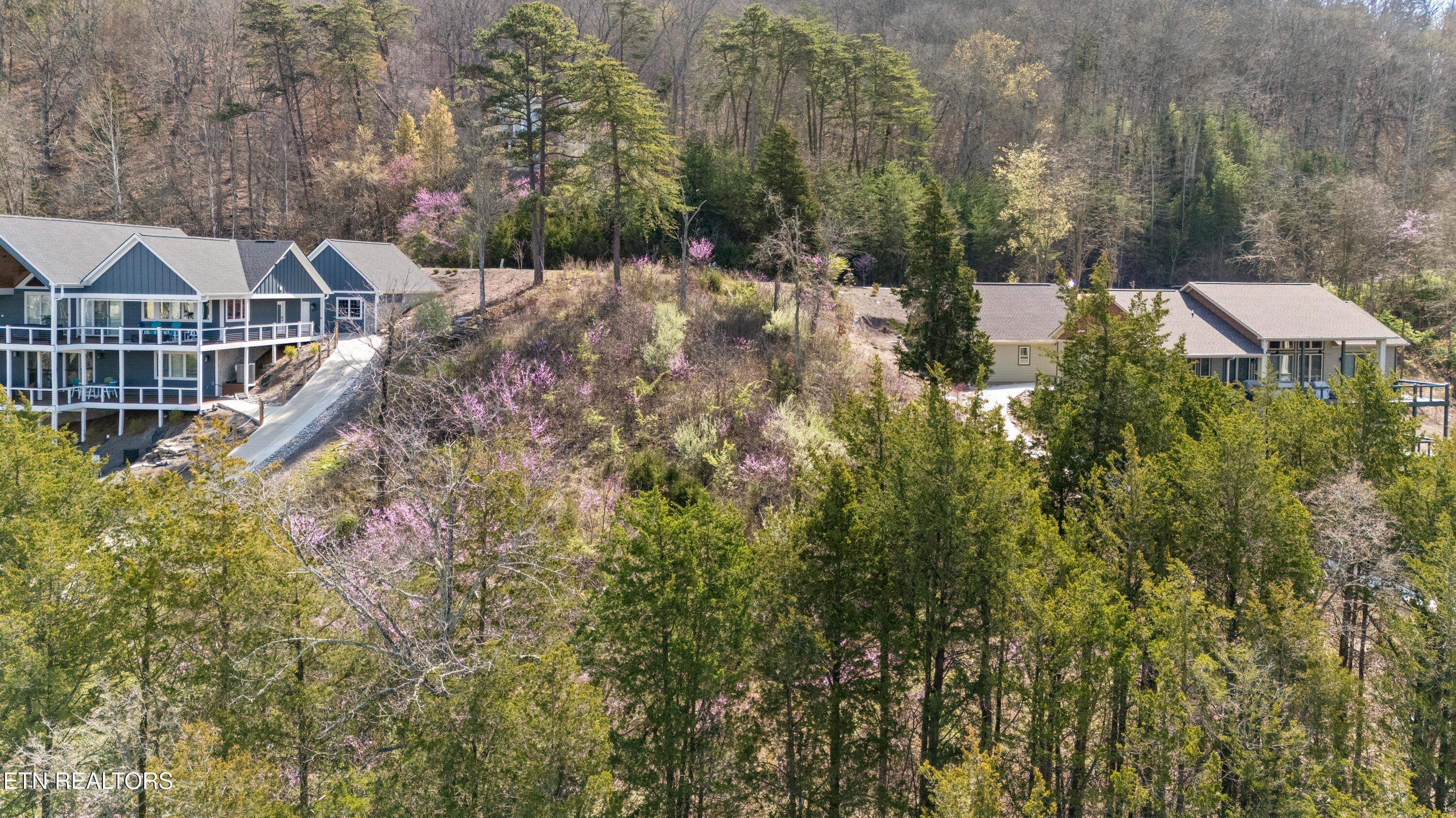 Norris Lake Real Estate - Image# 27
