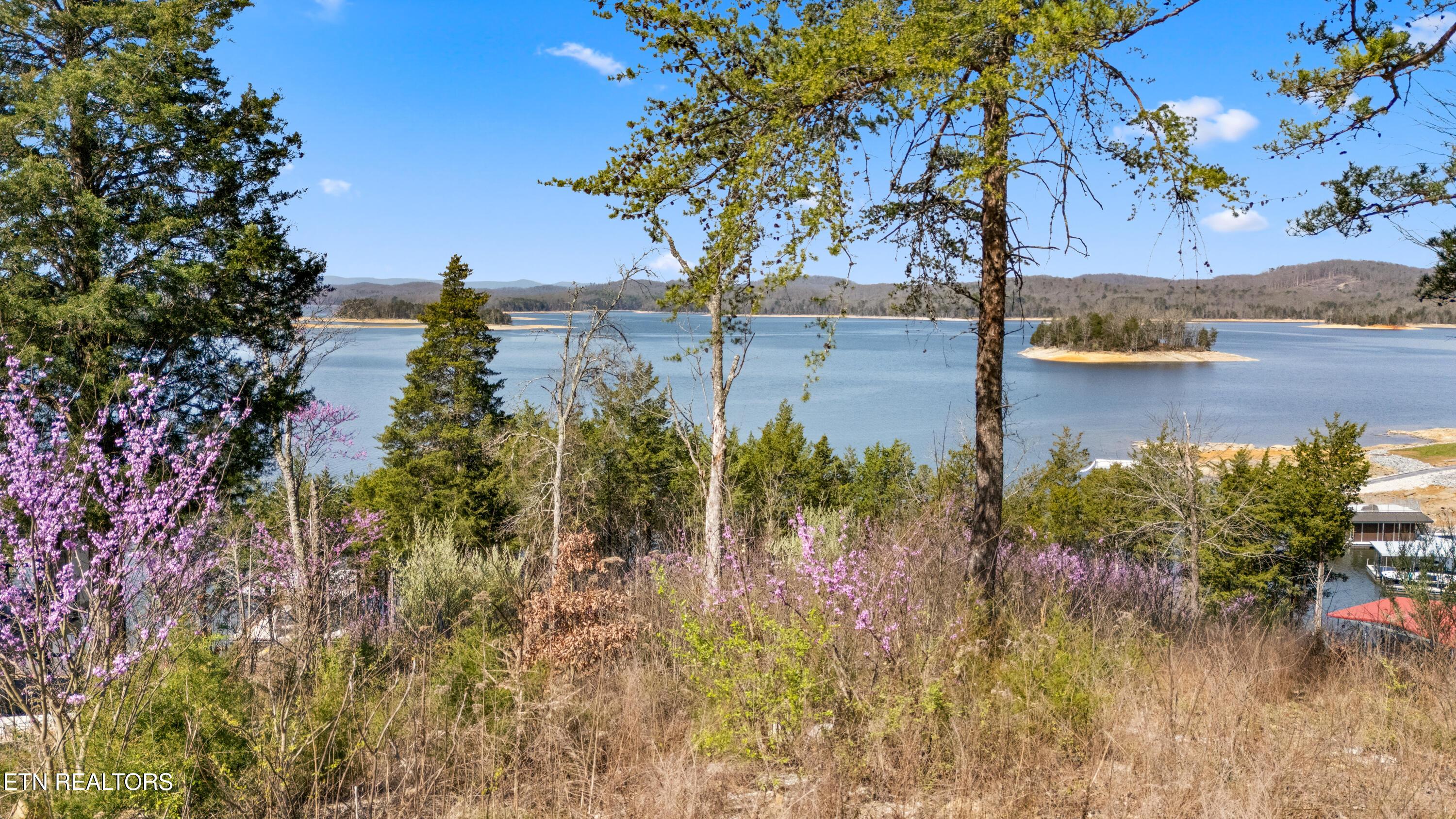 Norris Lake Real Estate - Image# 1