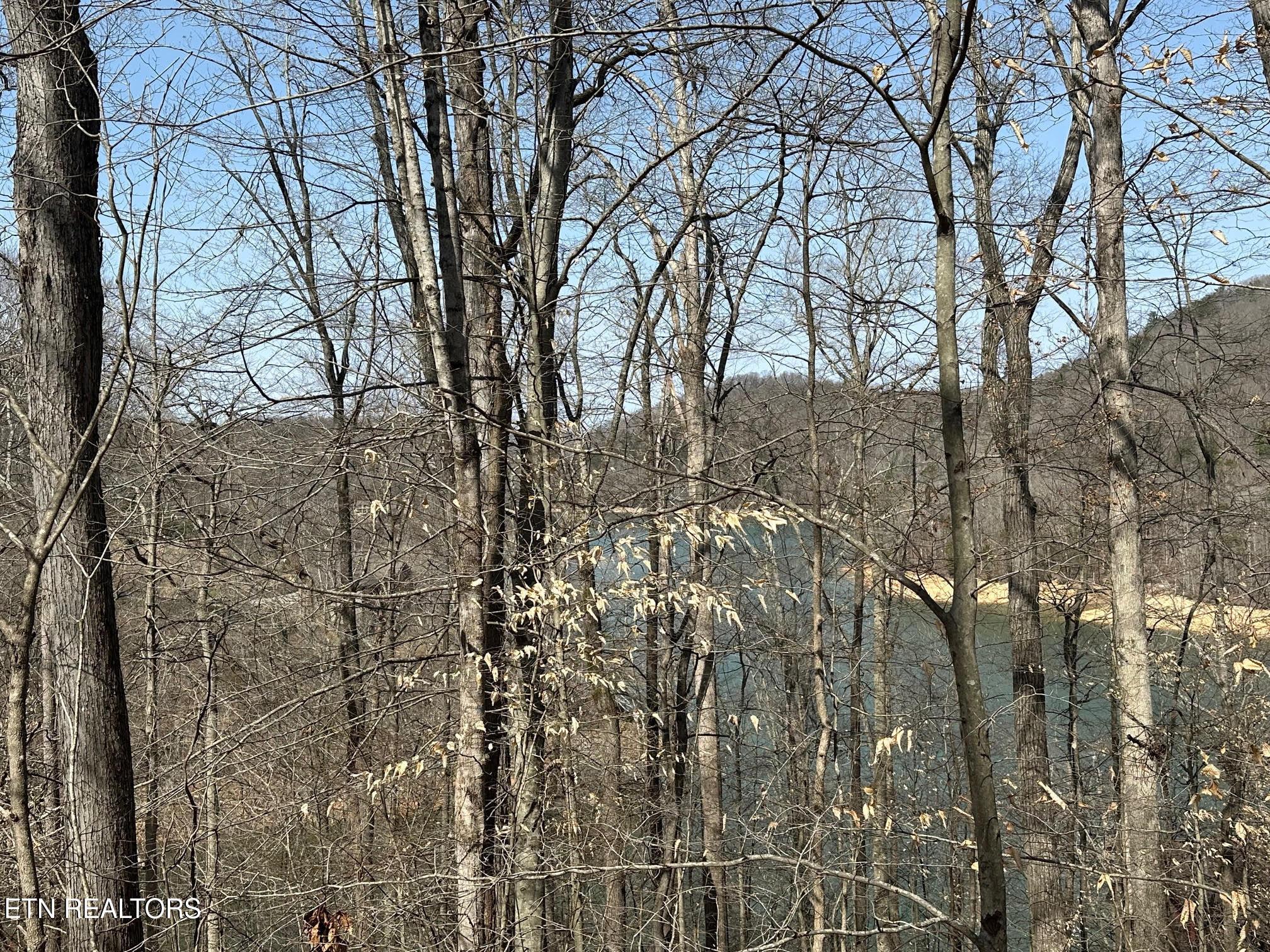 Norris Lake Real Estate - Image# 3