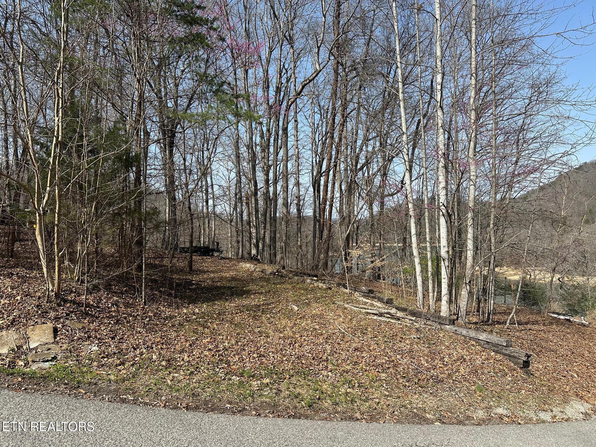 Norris Lake Real Estate - Image# 2