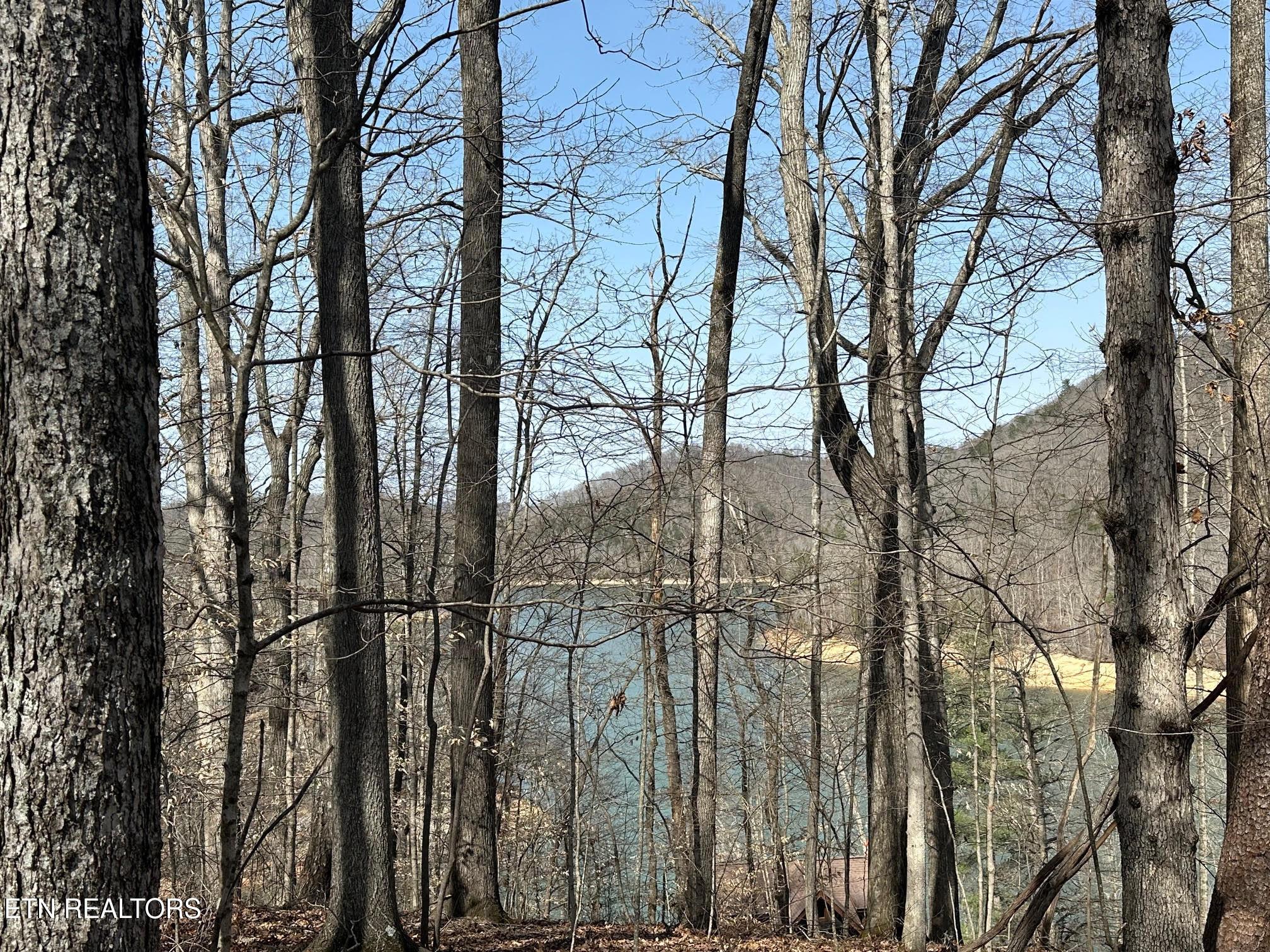 Norris Lake Real Estate - Image# 5