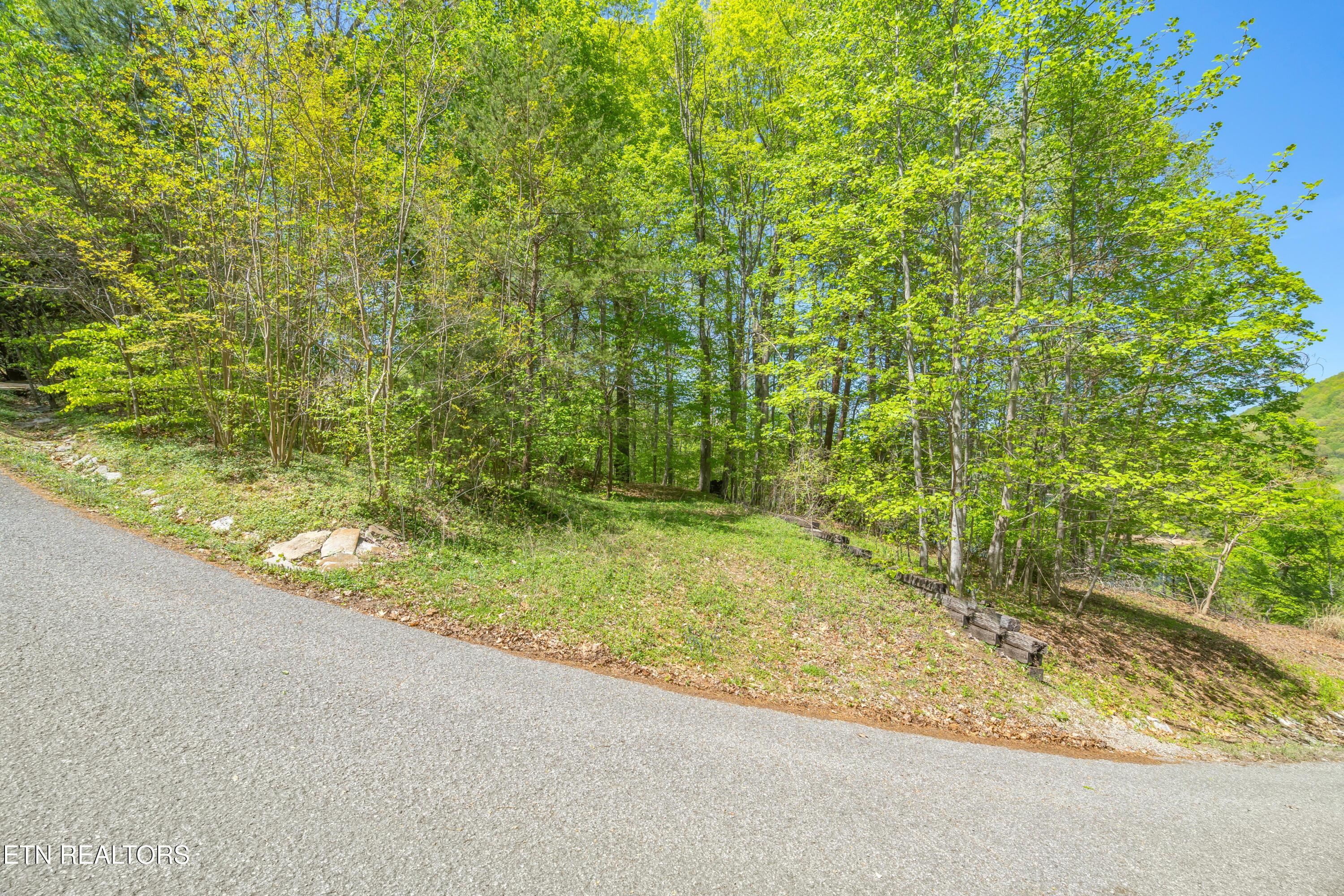 Norris Lake Real Estate - Image# 1