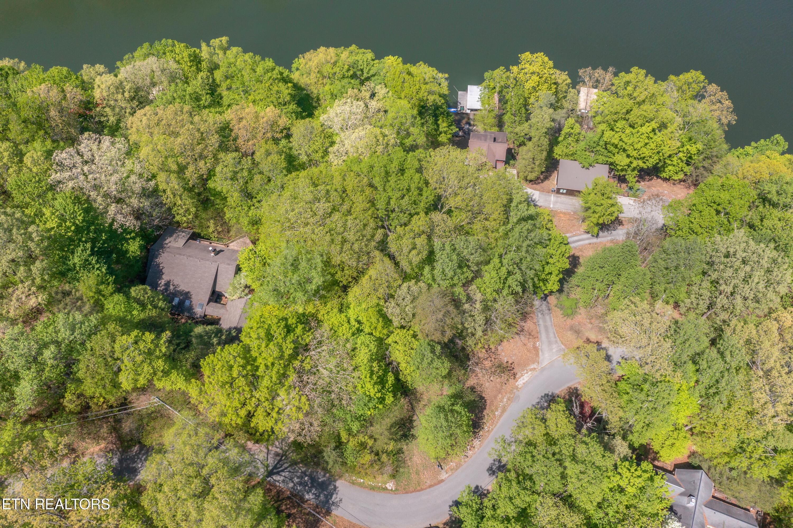 Norris Lake Real Estate - Image# 10