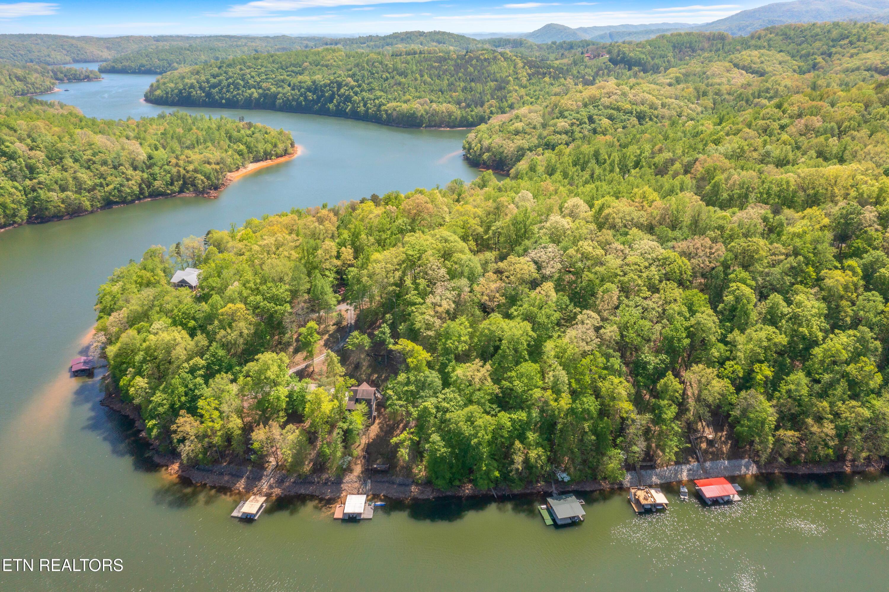 Norris Lake Real Estate - Image# 11