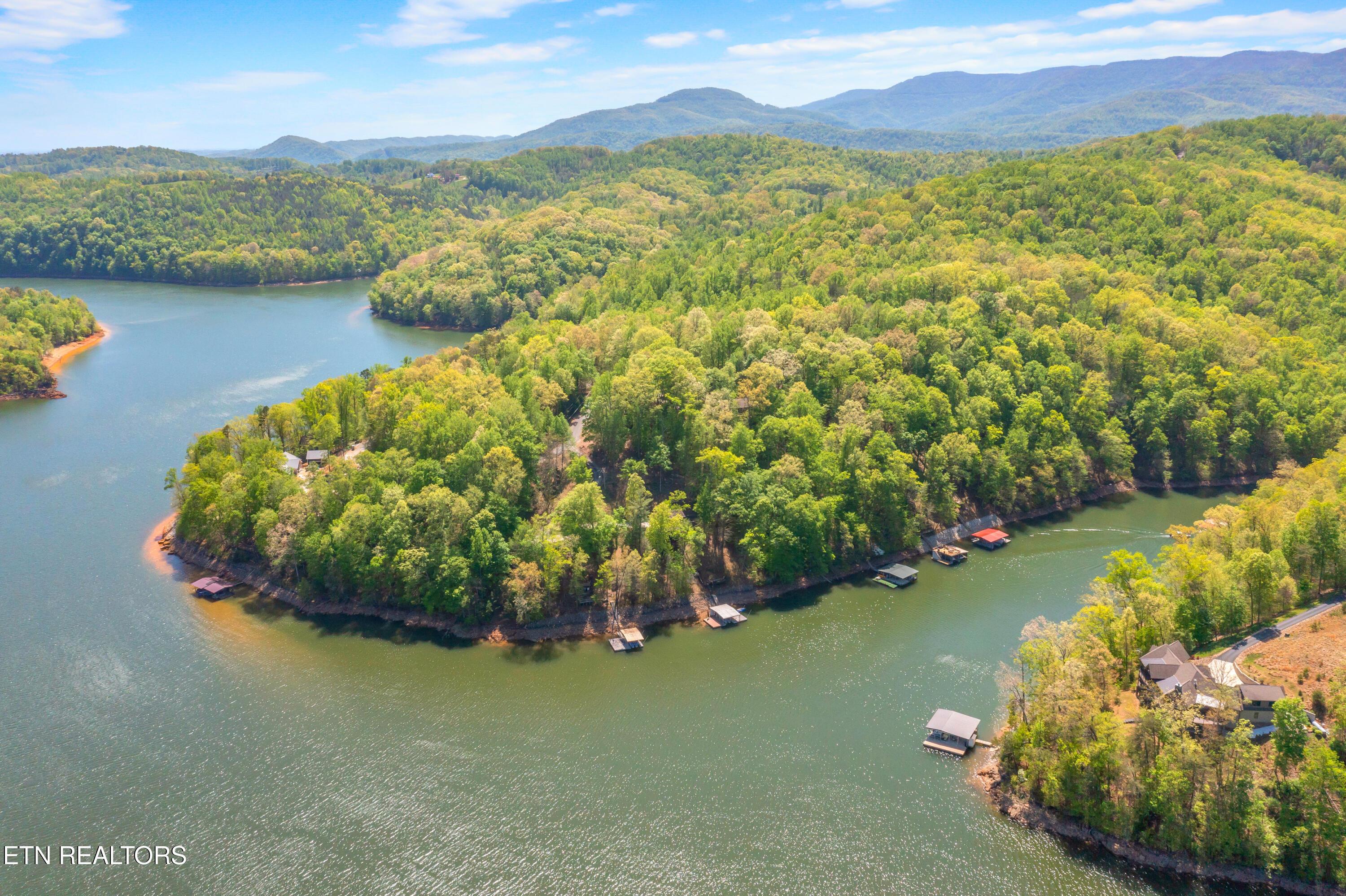 Norris Lake Real Estate - Image# 12