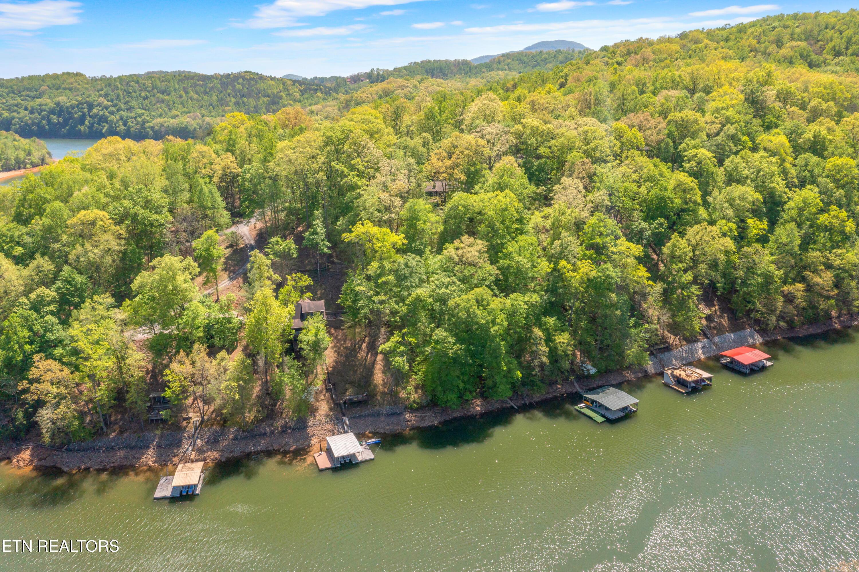 Norris Lake Real Estate - Image# 13