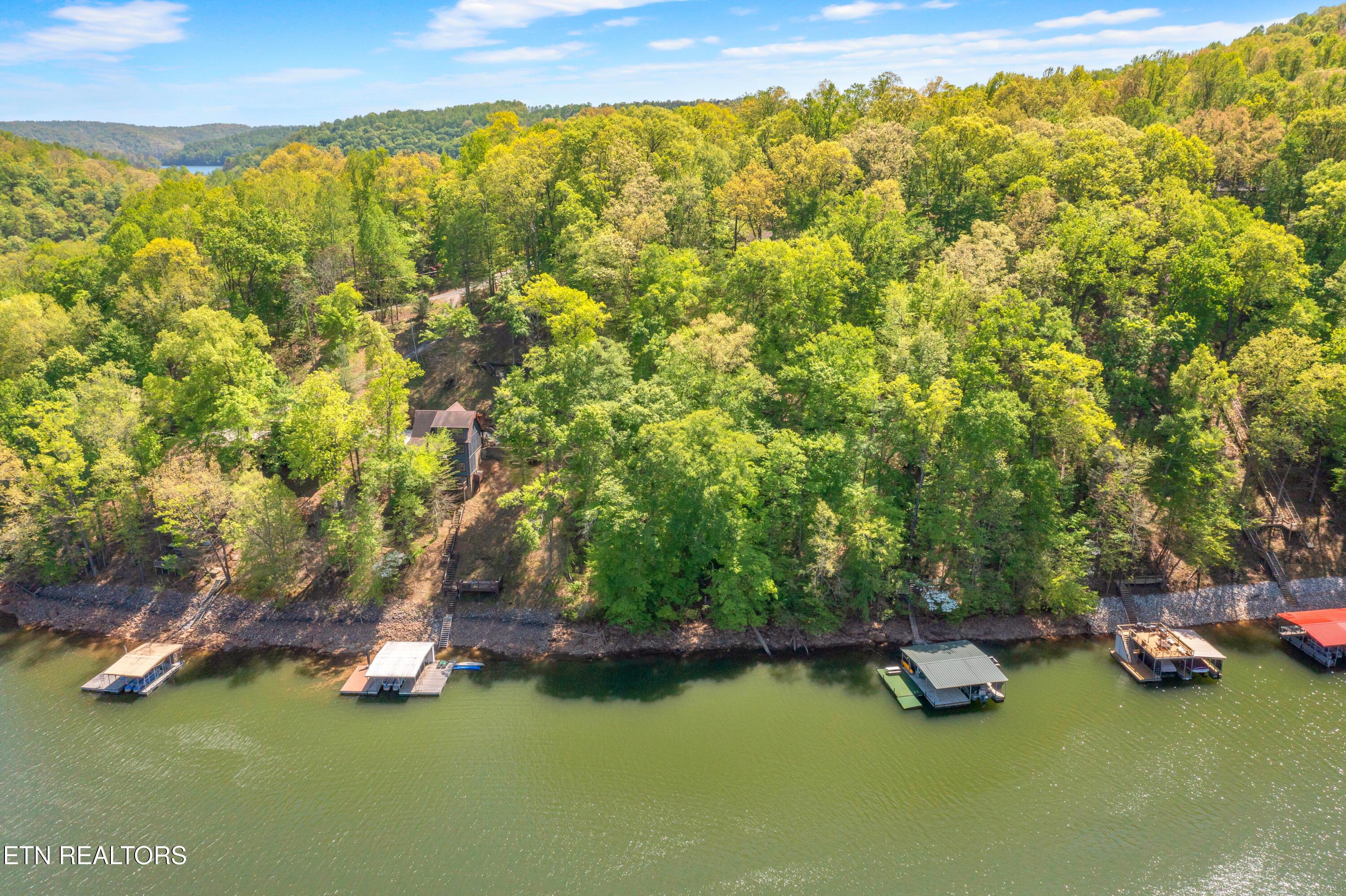 Norris Lake Real Estate - Image# 14