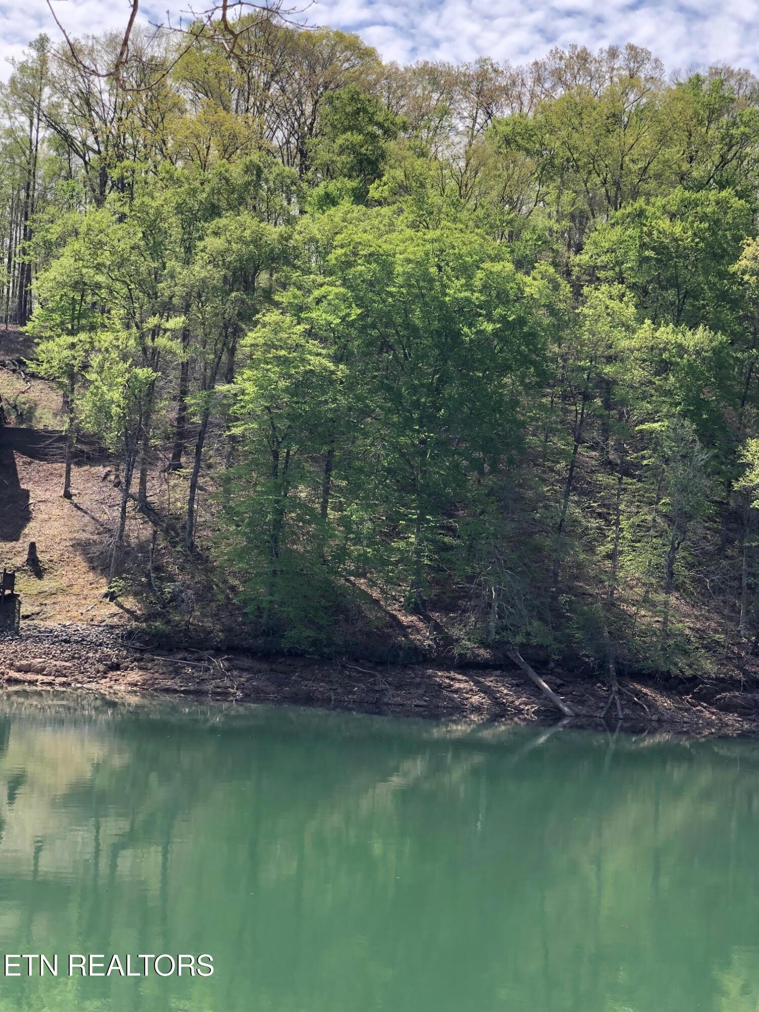Norris Lake Real Estate - Image# 19