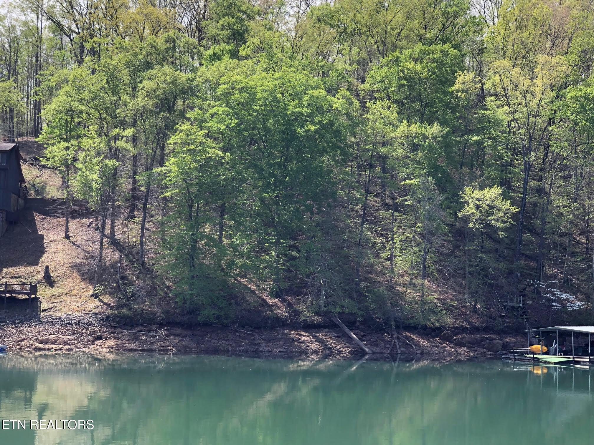 Norris Lake Real Estate - Image# 20