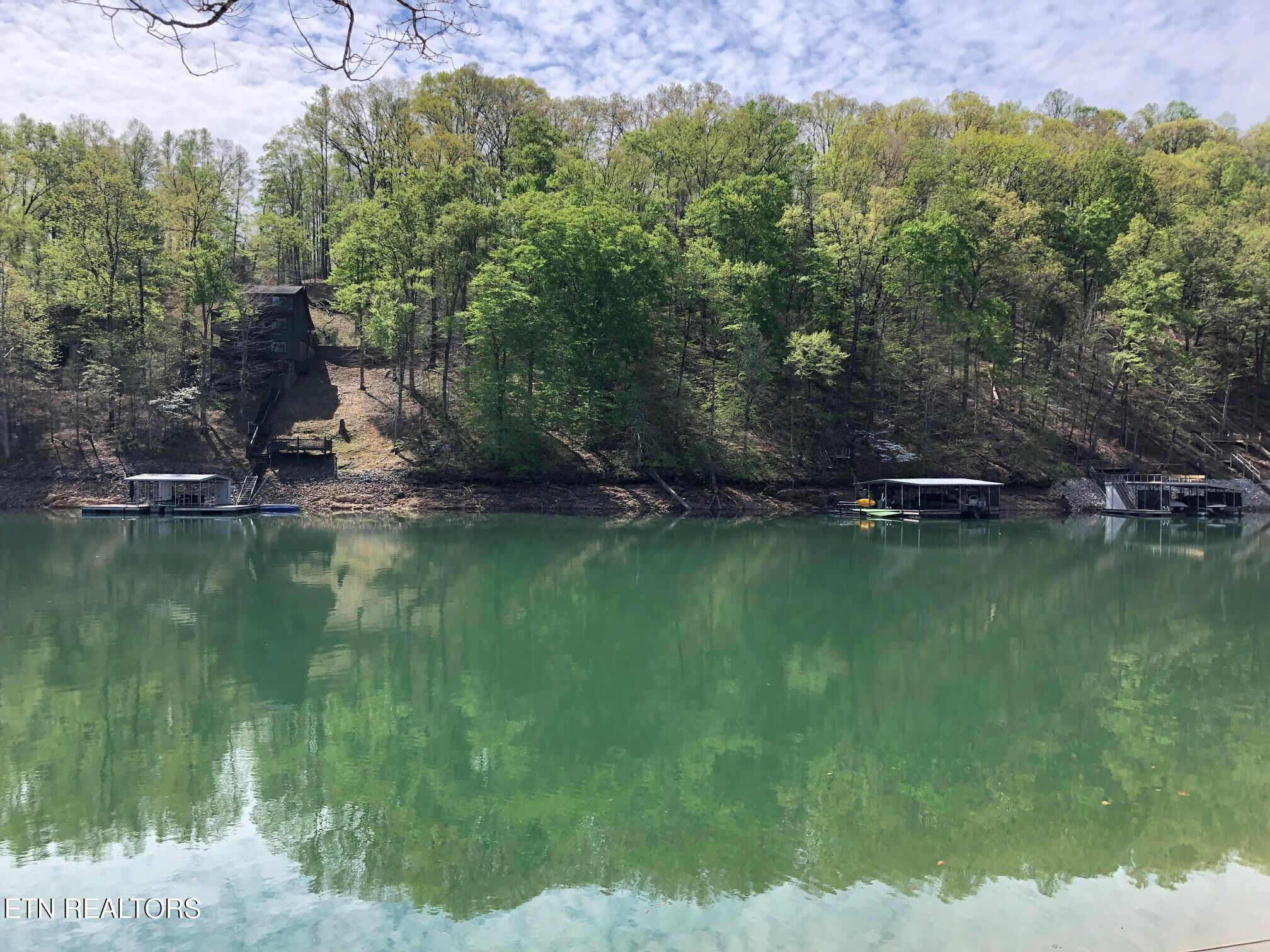 Norris Lake Real Estate - Image# 21