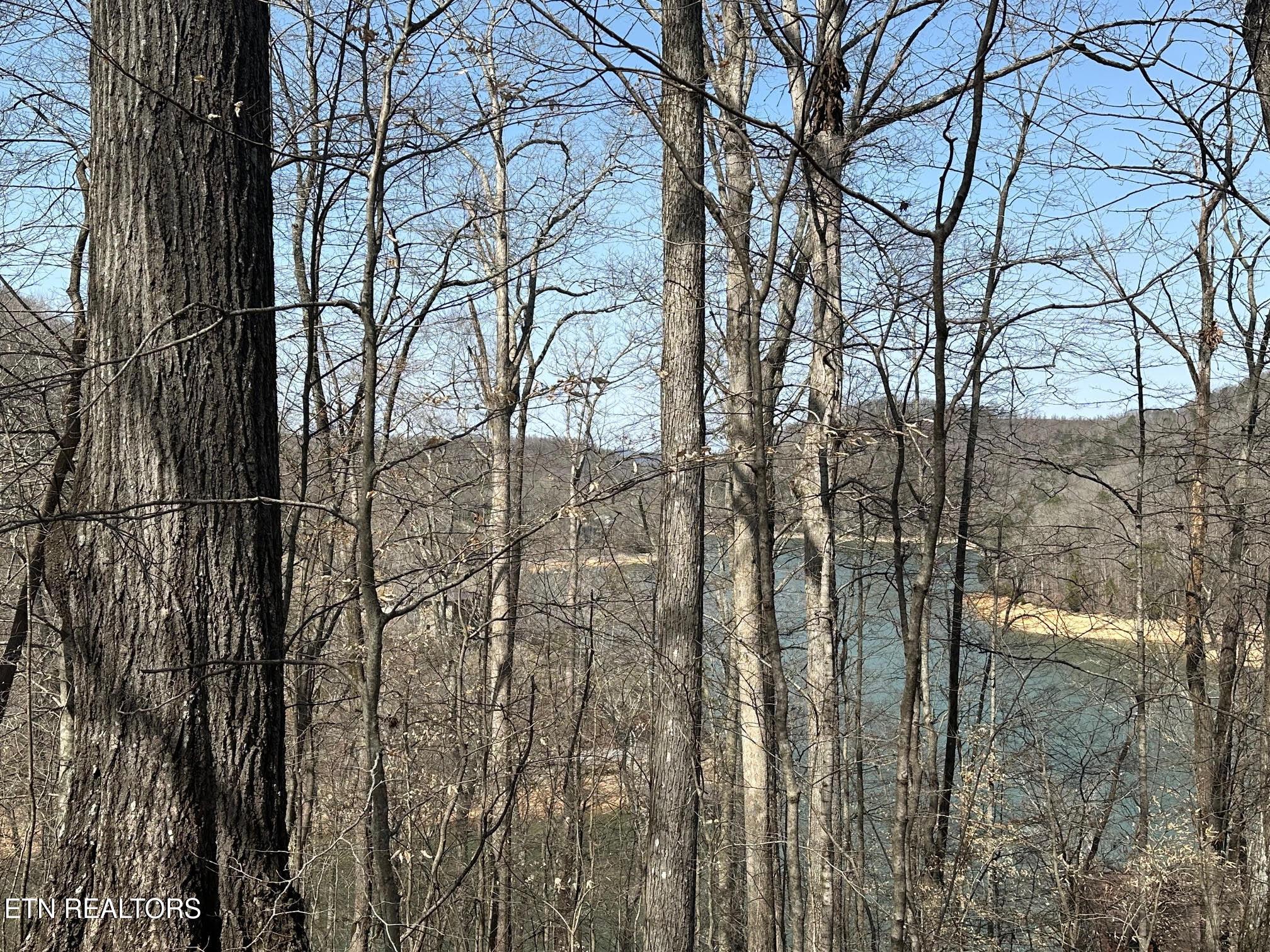 Norris Lake Real Estate - Image# 4