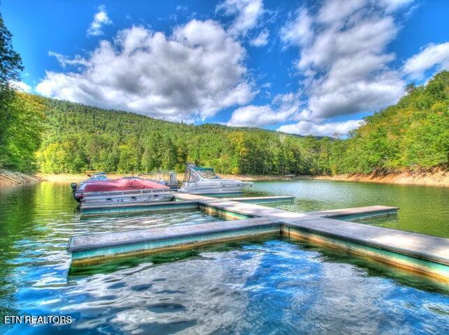Norris Lake Real Estate - Image# 2