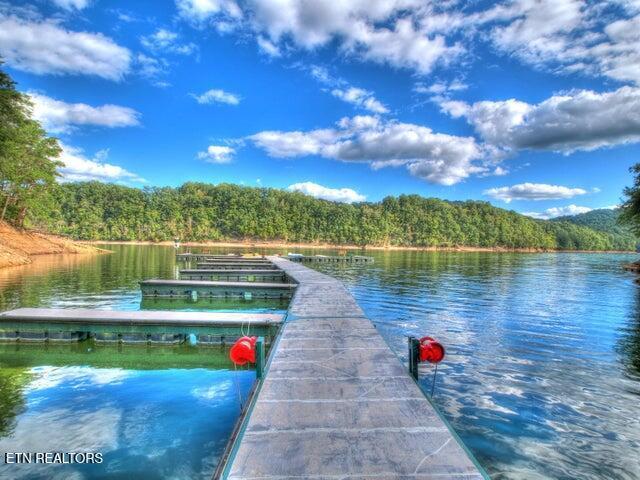 Norris Lake Real Estate - Image# 5