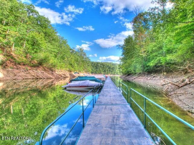 Norris Lake Real Estate - Image# 6