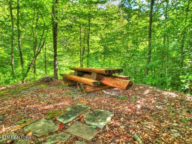 Norris Lake Real Estate - Image# 7