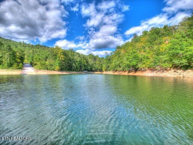 Norris Lake Real Estate - Image# 11
