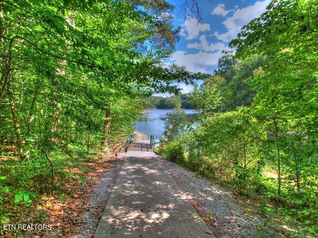Norris Lake Real Estate - Image# 18