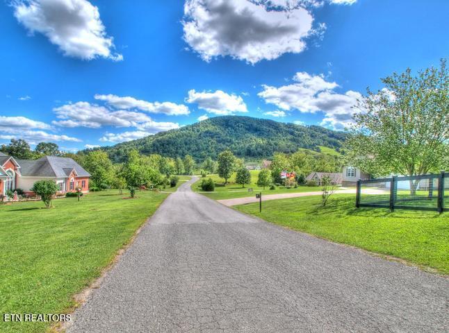 Norris Lake Real Estate - Image# 19